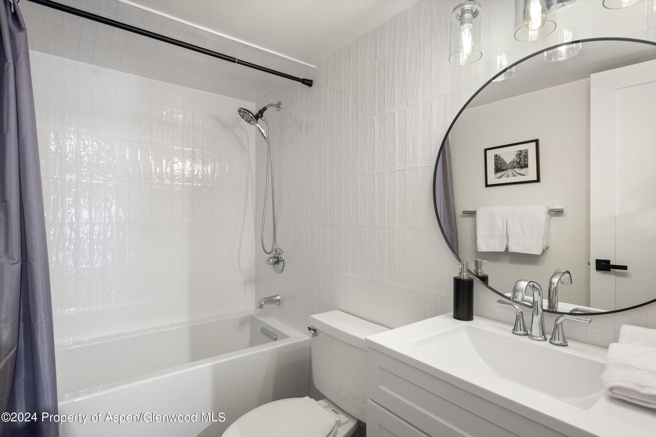 1039 E Cooper Avenue Aspen CO 81611