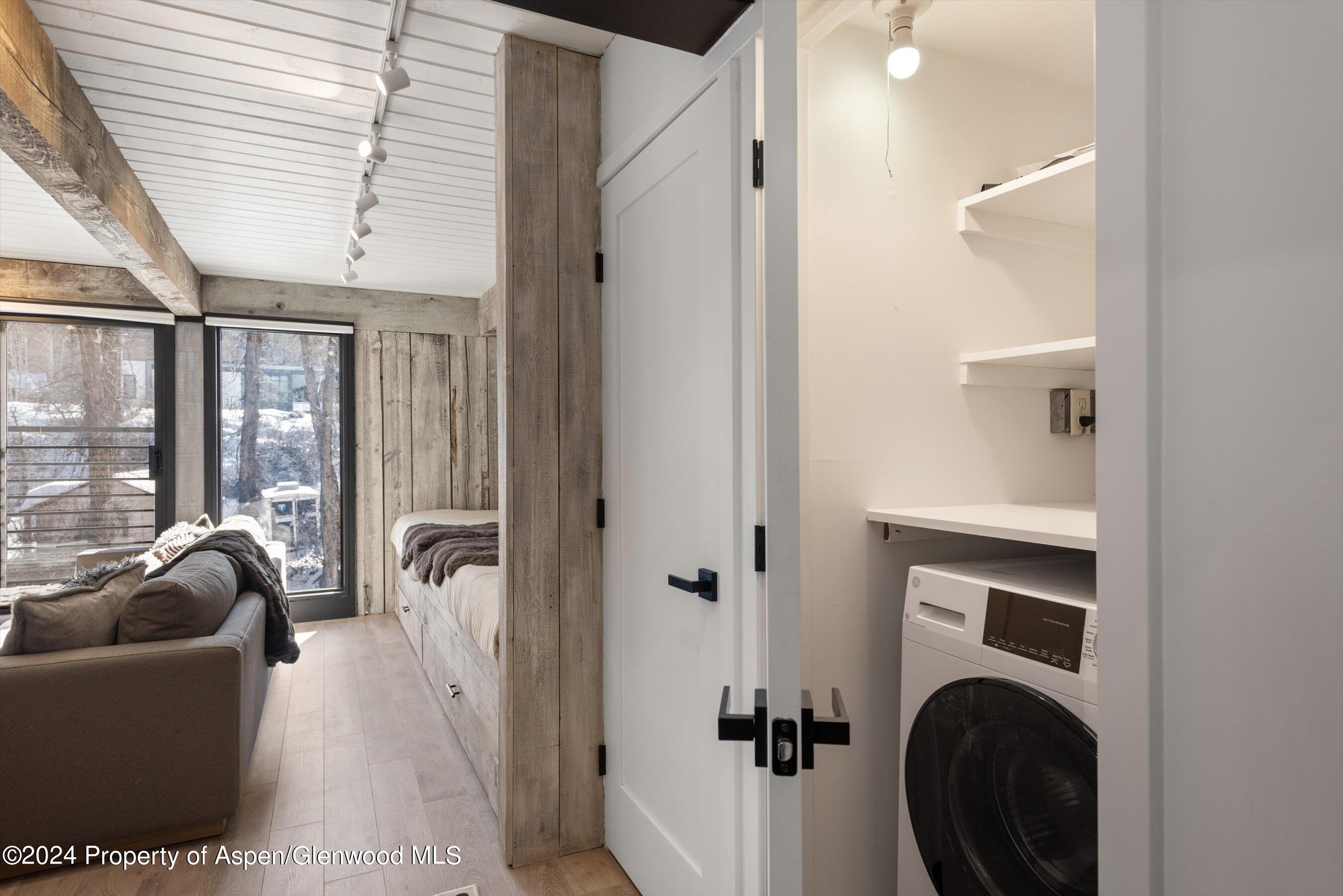 1039 E Cooper Avenue Aspen CO 81611