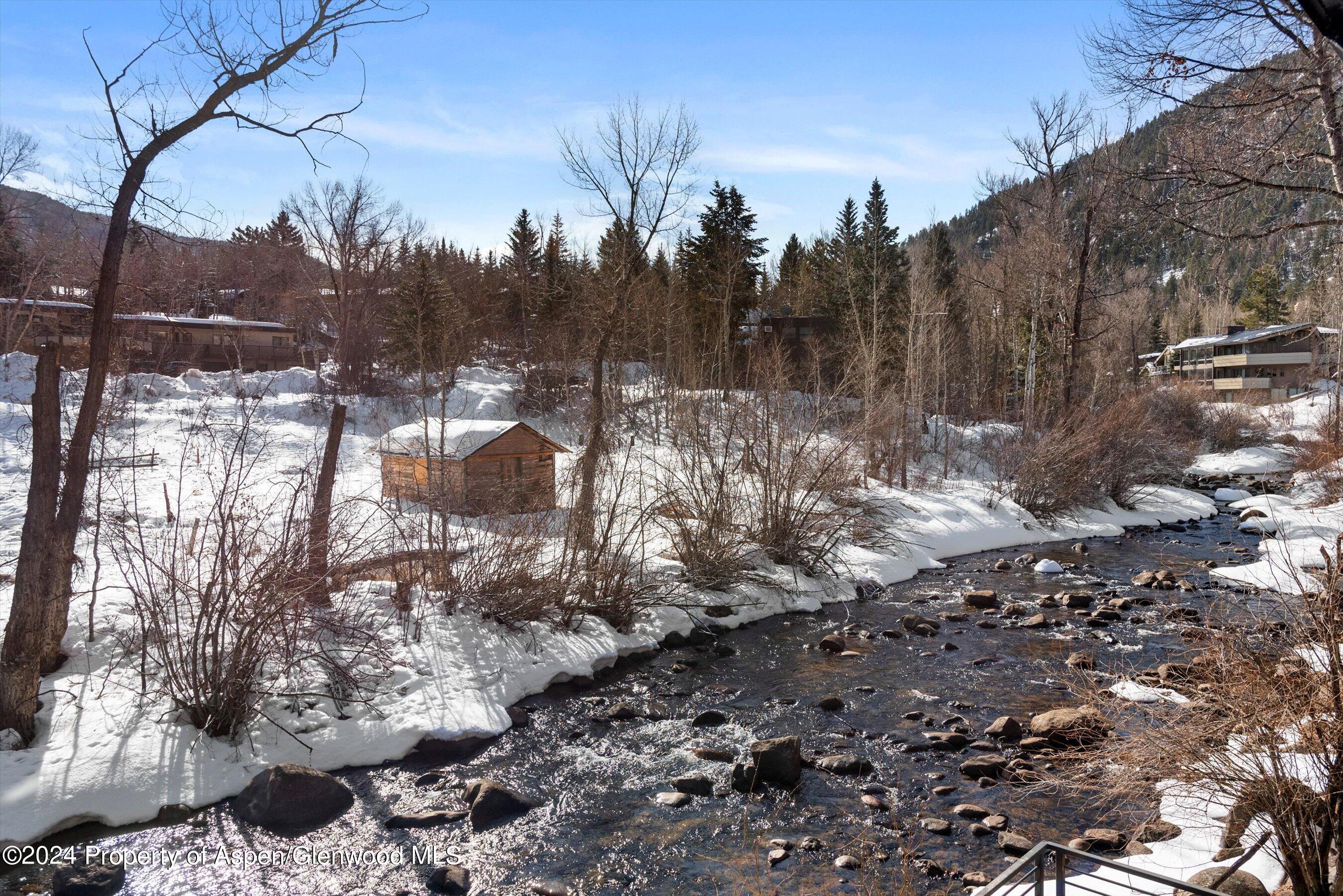 1039 E Cooper Avenue Aspen CO 81611