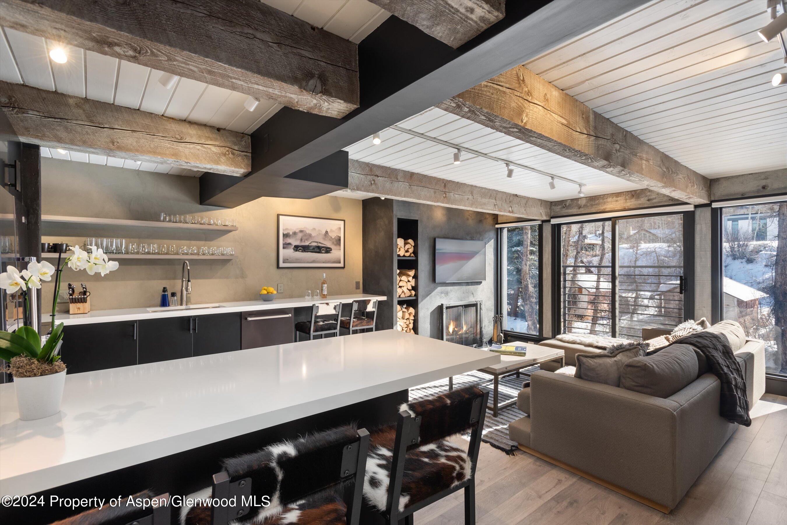 1039 E Cooper Avenue Aspen CO 81611