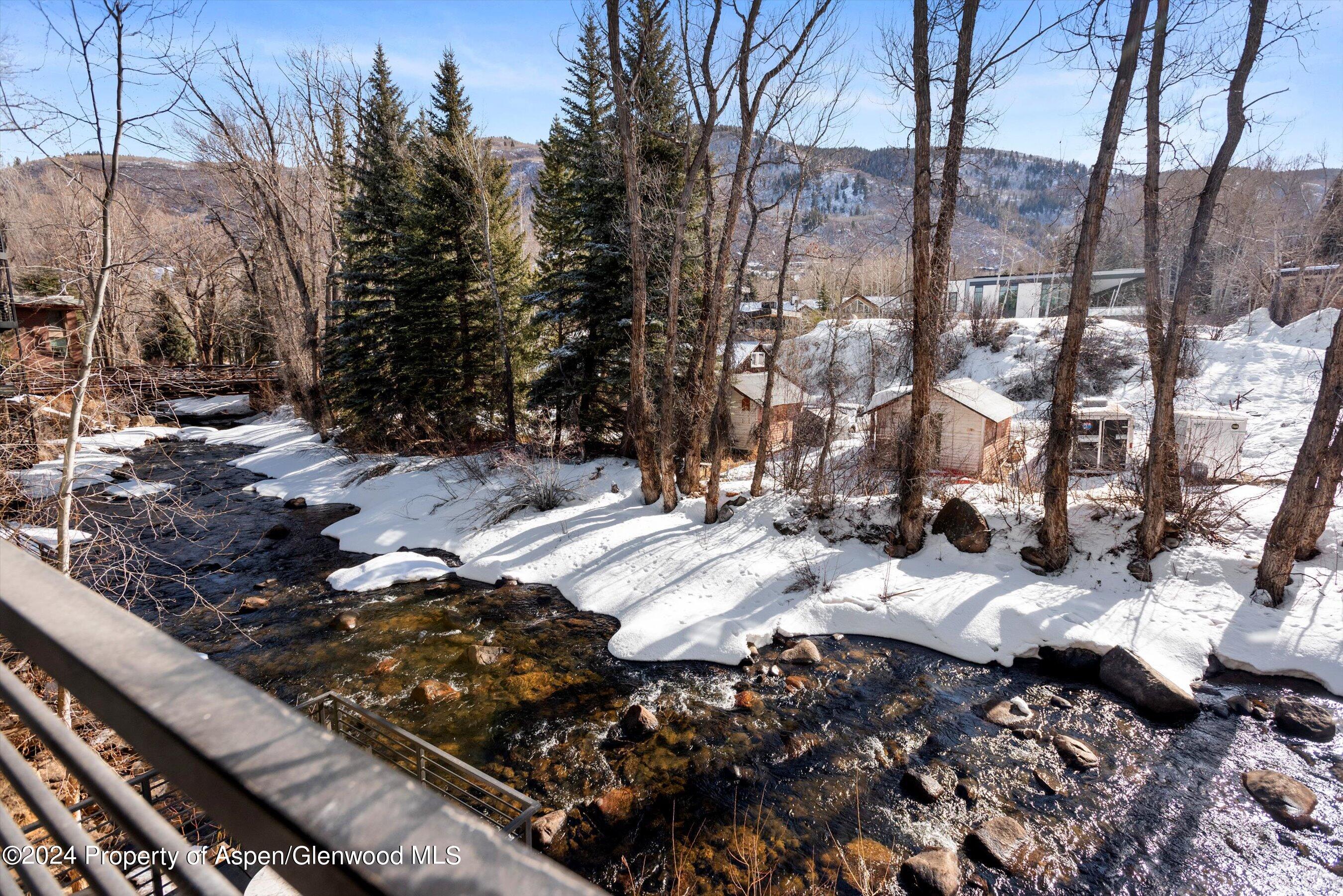 1039 E Cooper Avenue Aspen CO 81611