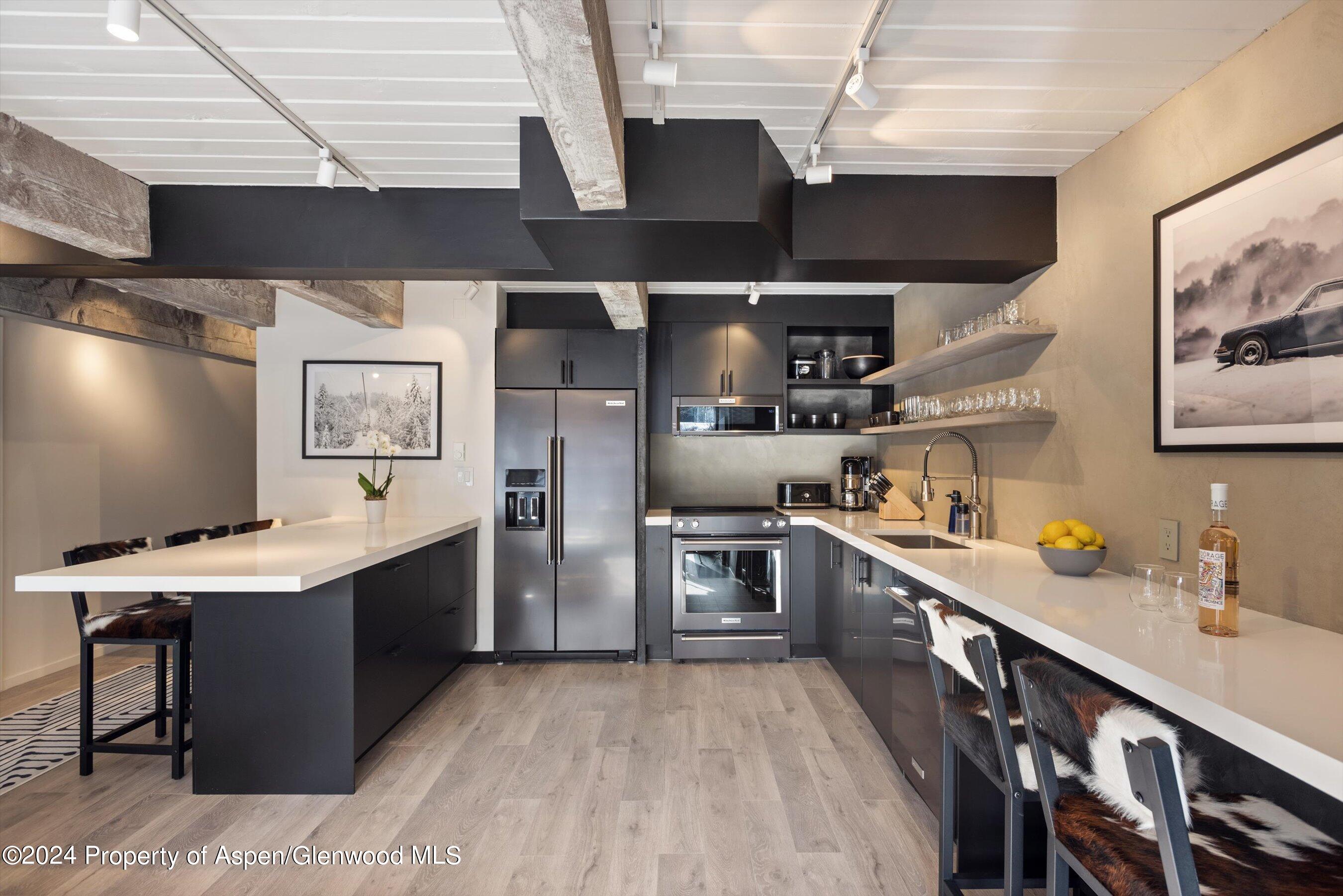 1039 E Cooper Avenue Aspen CO 81611