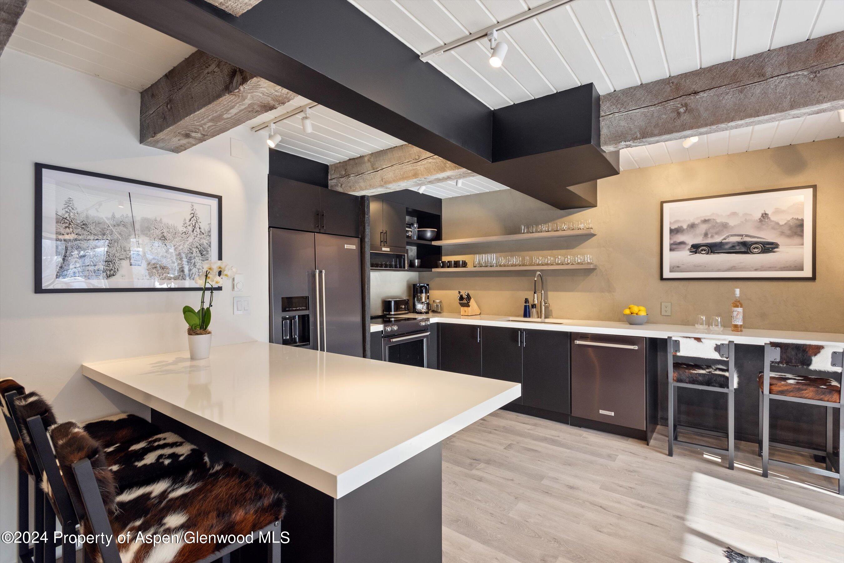 1039 E Cooper Avenue Aspen CO 81611