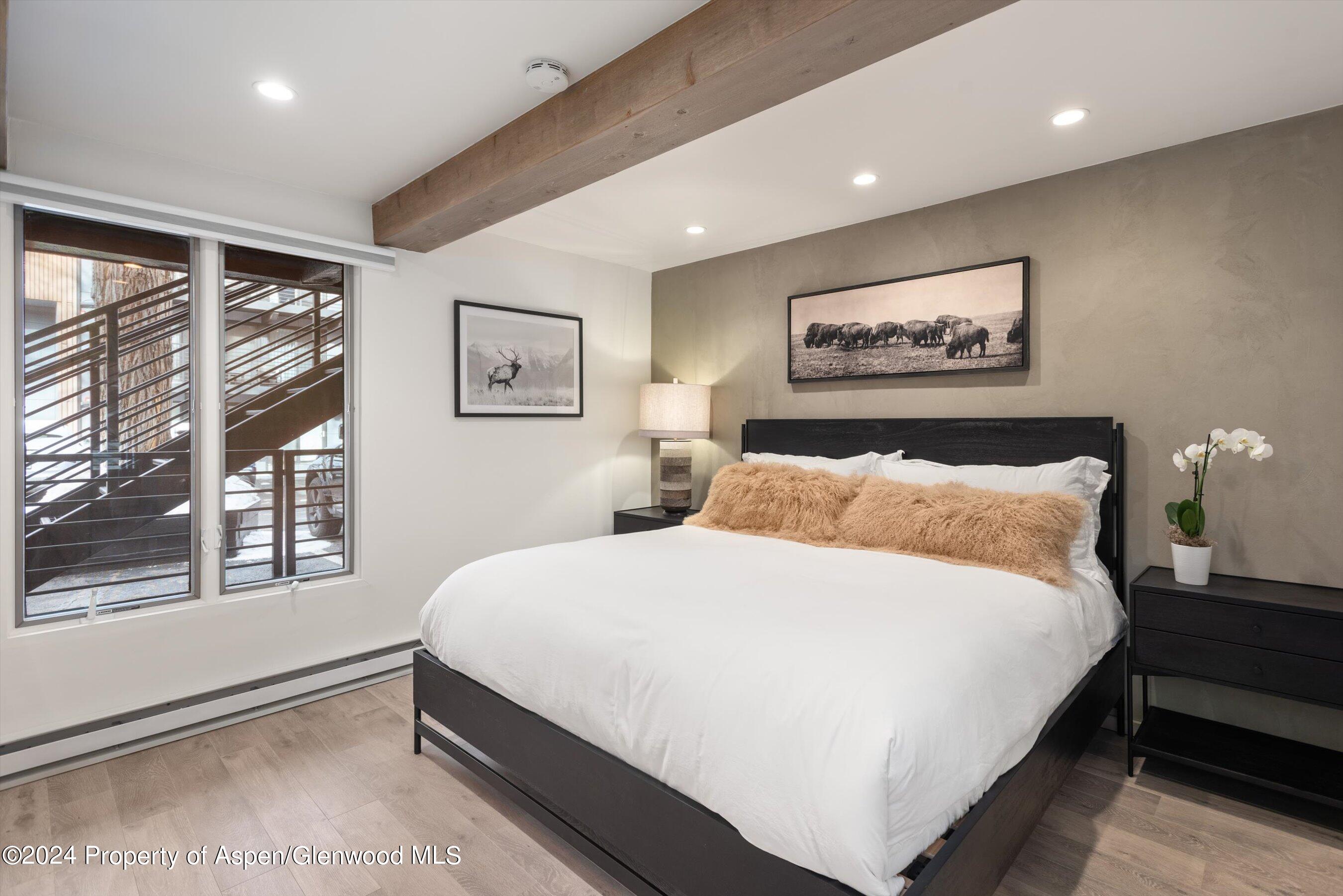 1039 E Cooper Avenue Aspen CO 81611