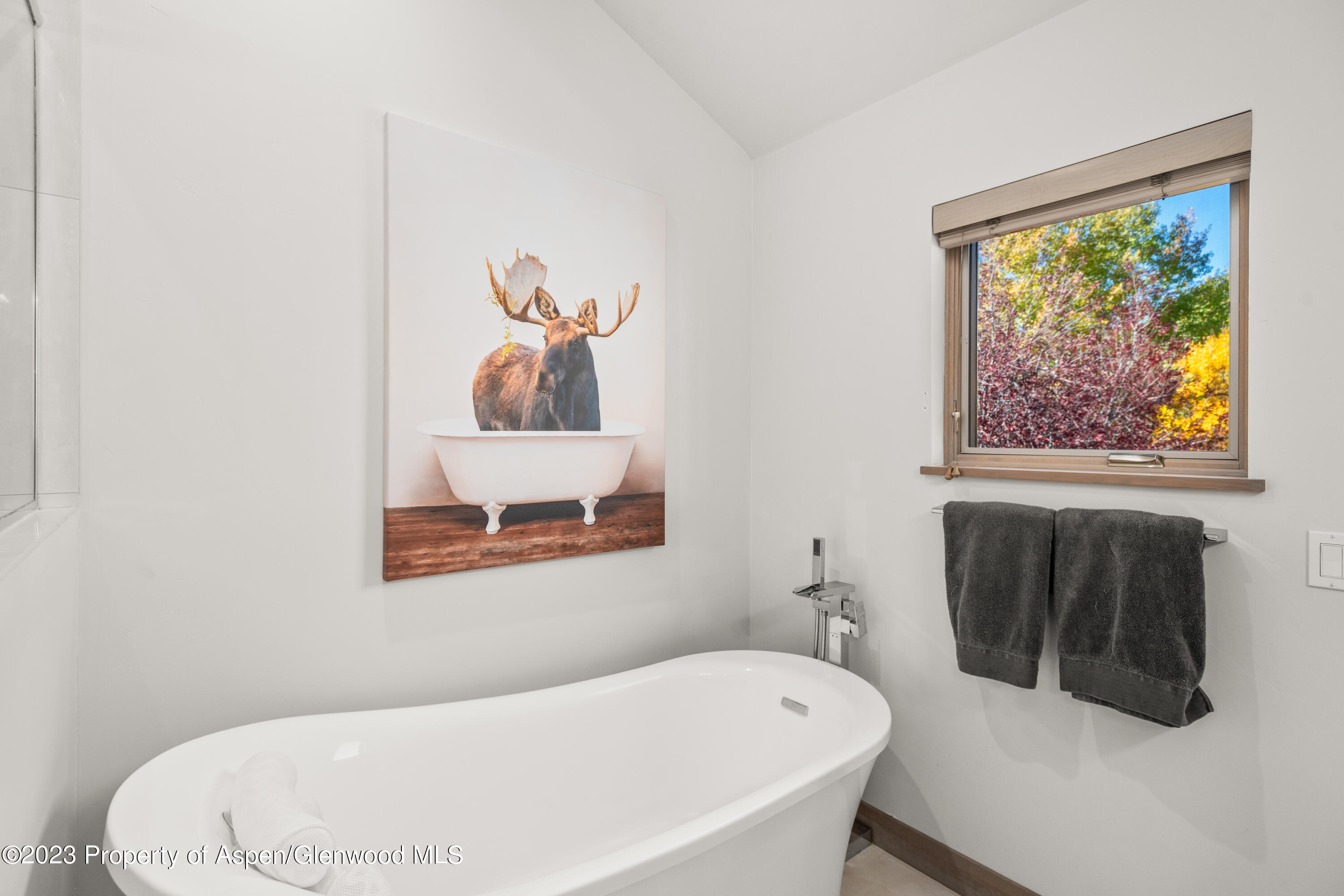 331 Branding Way Basalt CO 81621