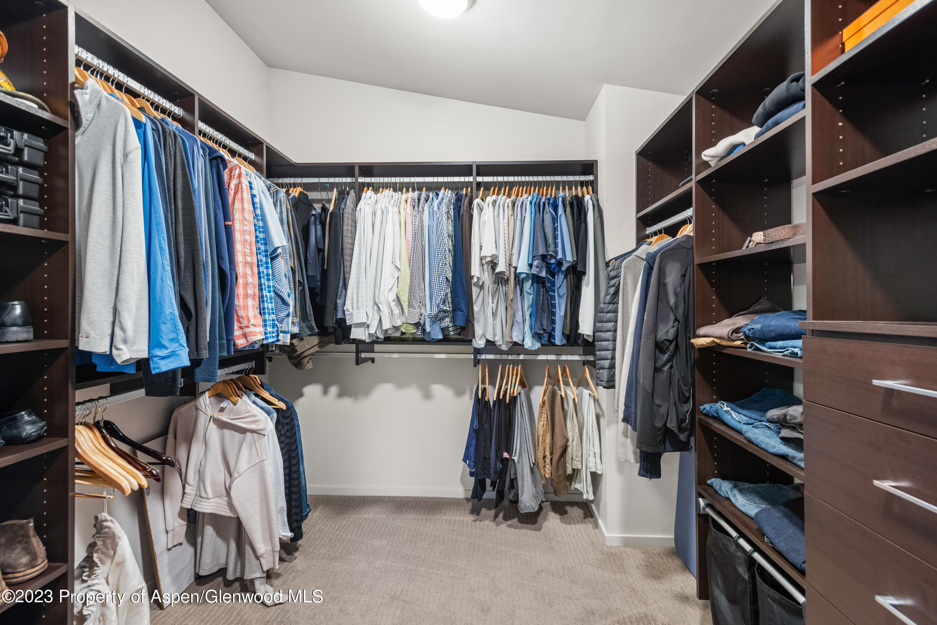 331 Branding Way Basalt CO 81621