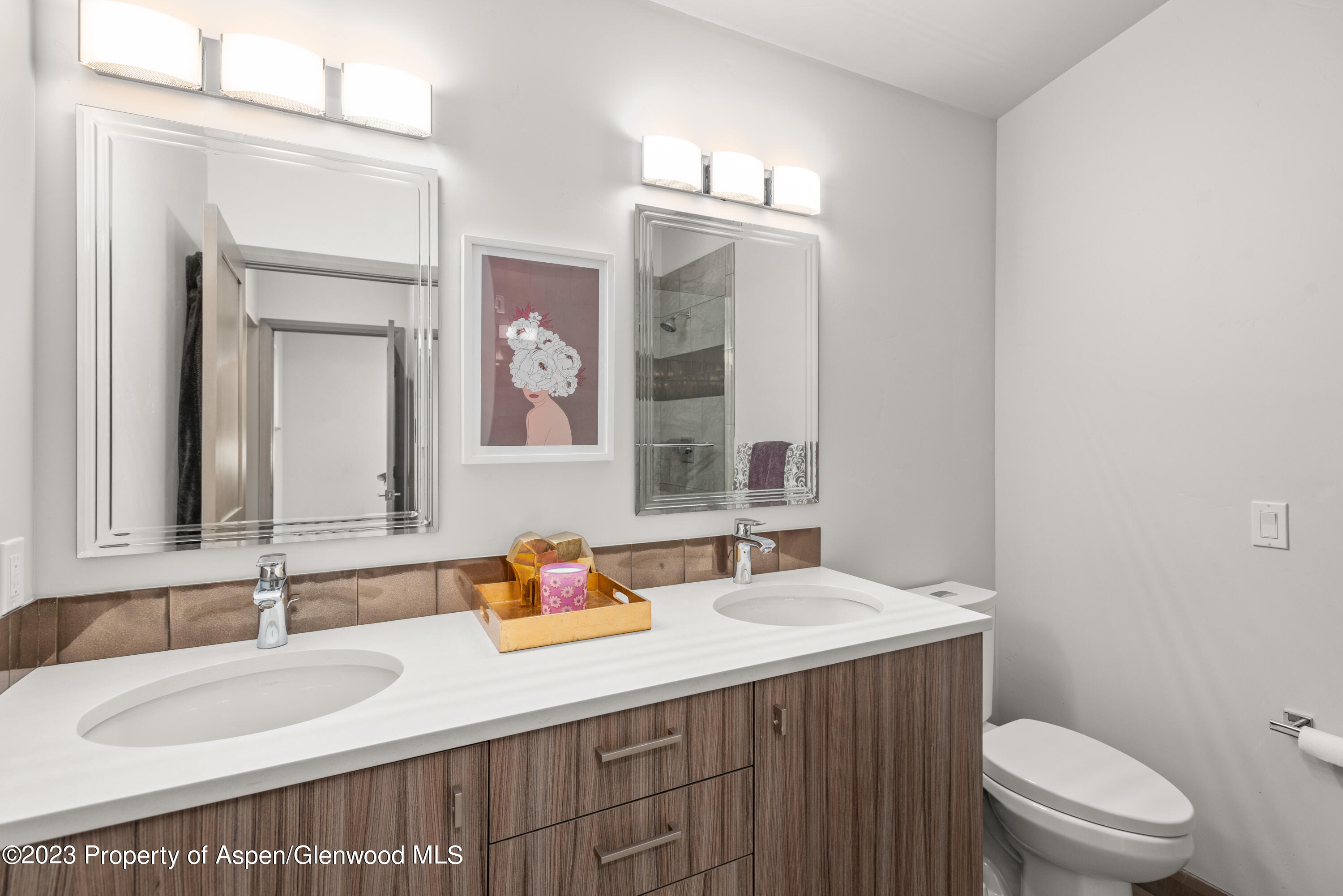 331 Branding Way Basalt CO 81621