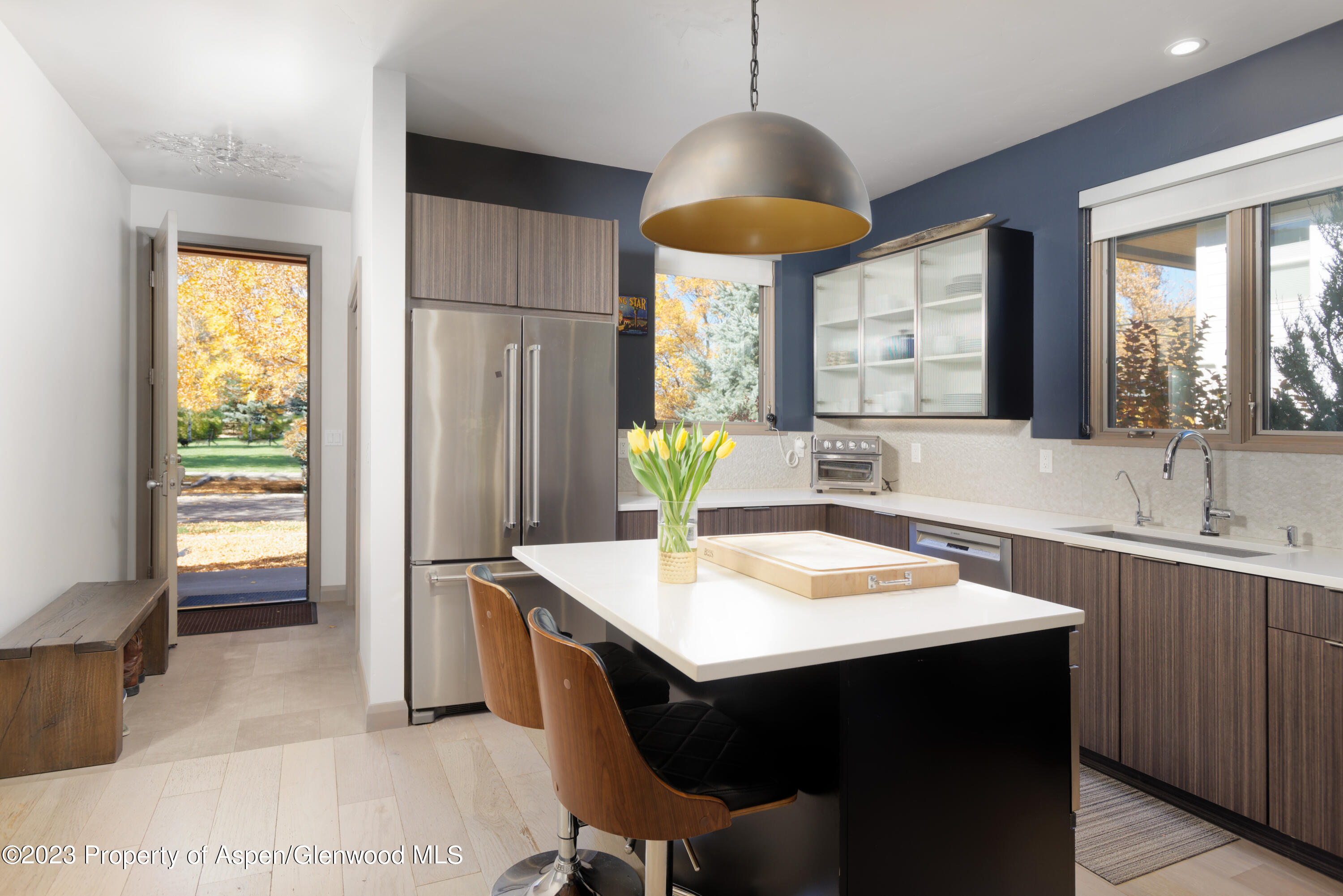 331 Branding Way Basalt CO 81621