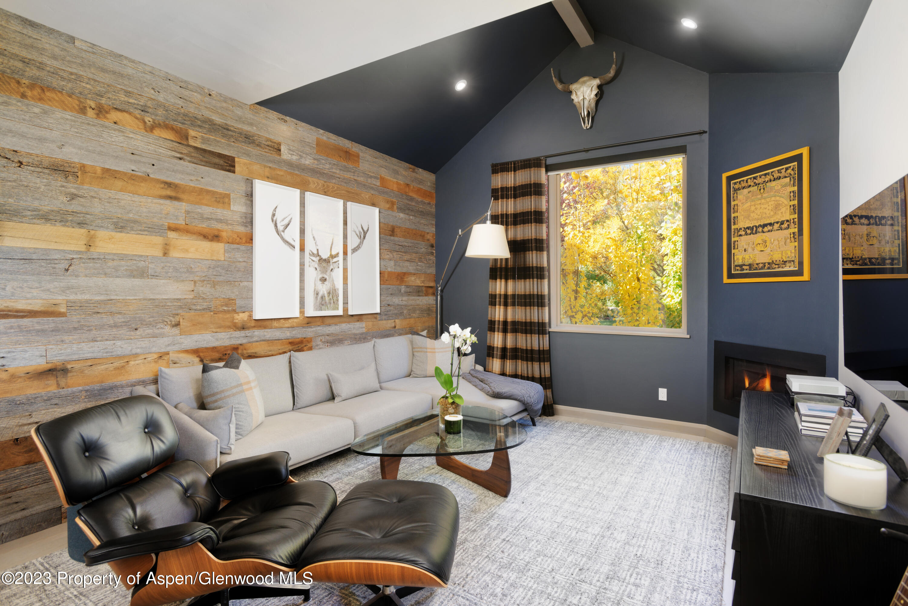 331 Branding Way Basalt CO 81621