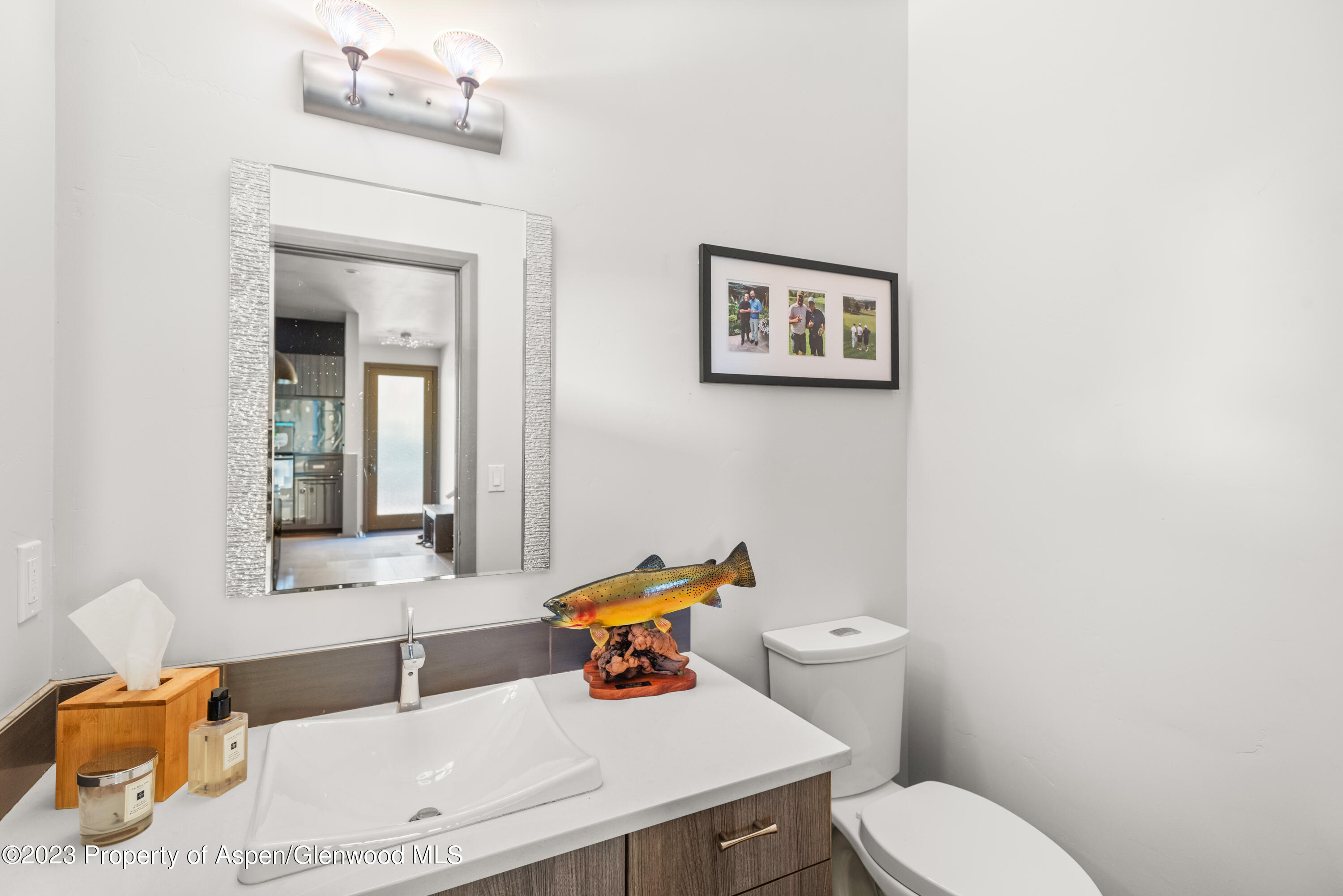 331 Branding Way Basalt CO 81621