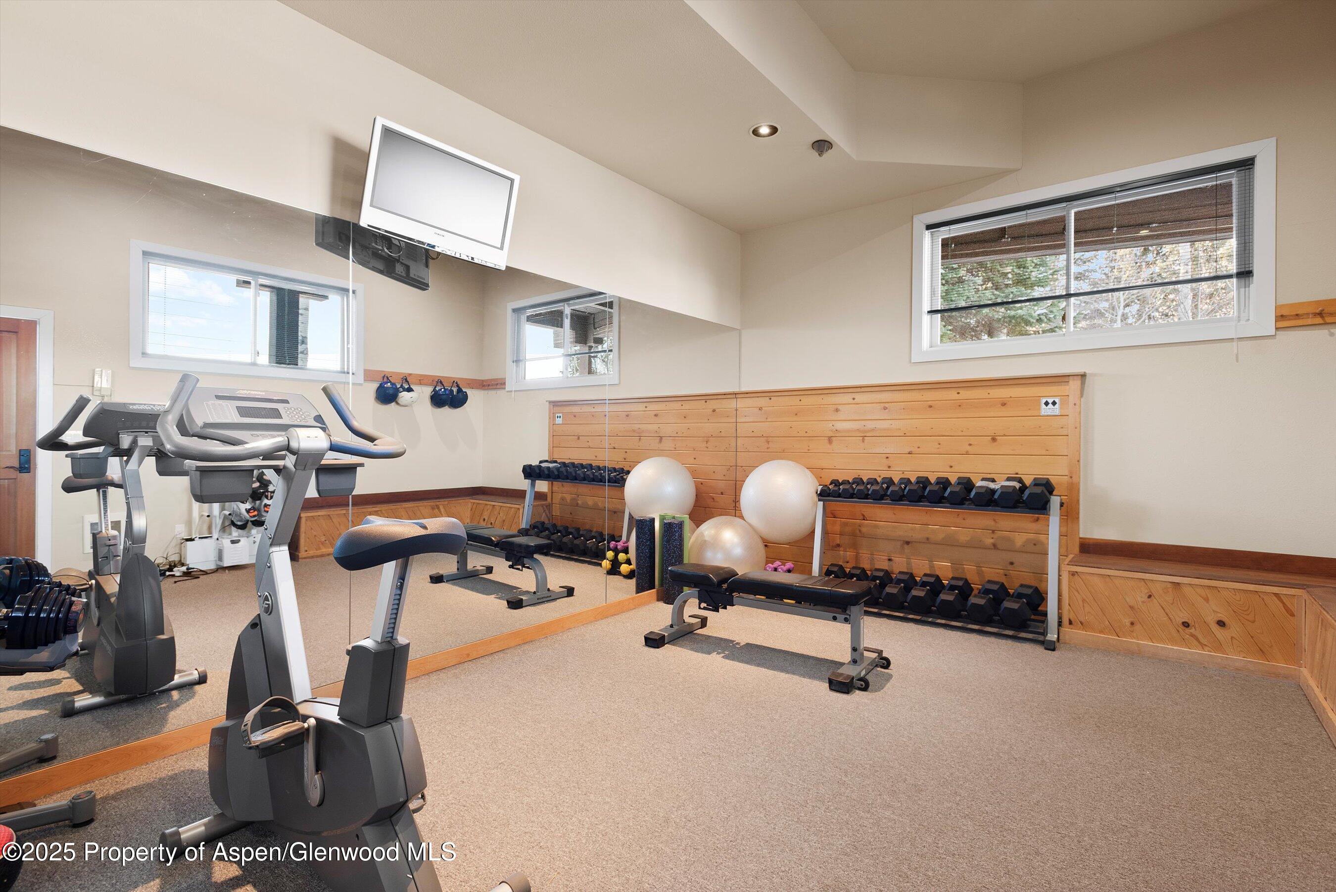 18 Edgewood Lane Snowmass Village CO 81615
