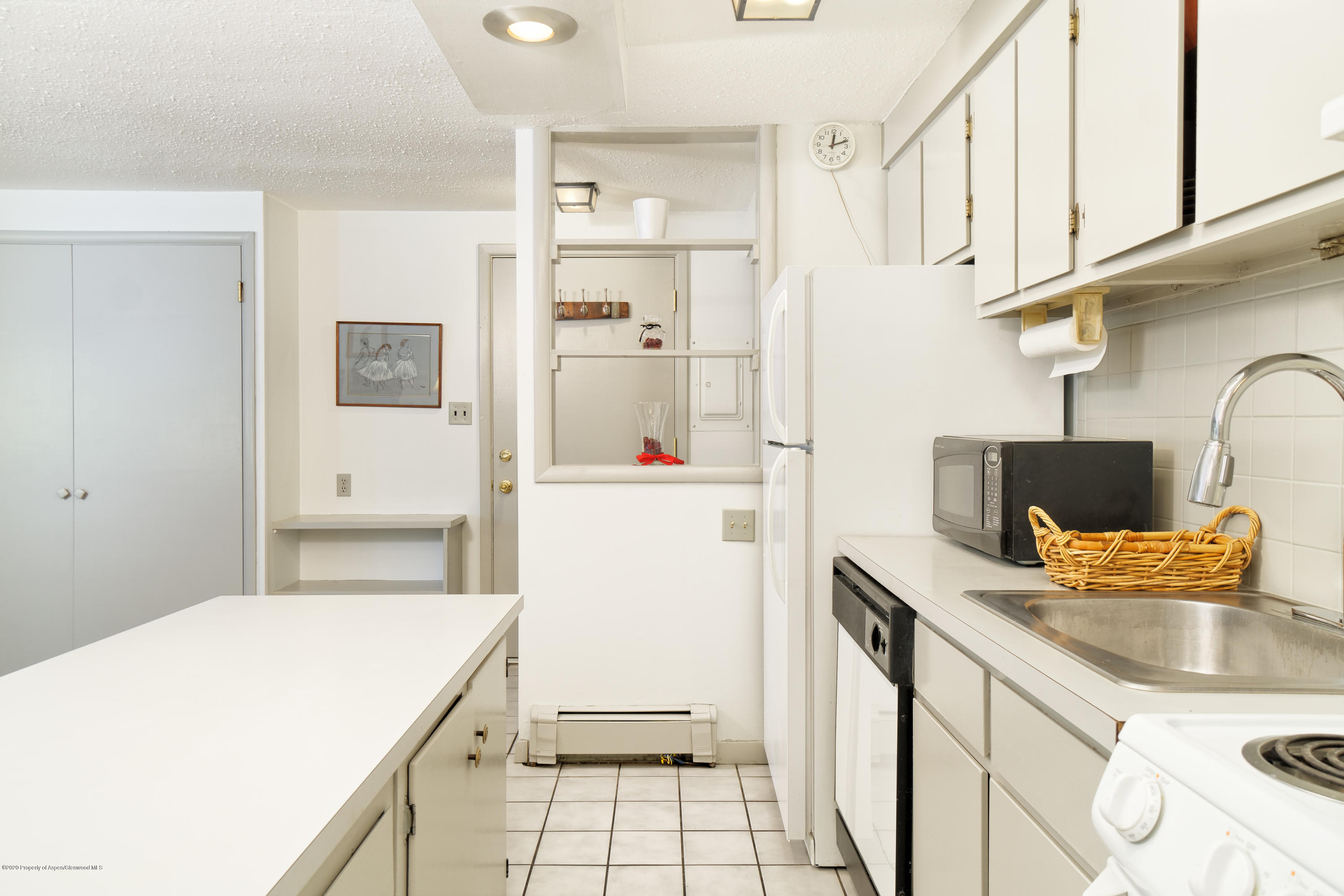 935 E Hopkins Avenue Aspen CO 81611