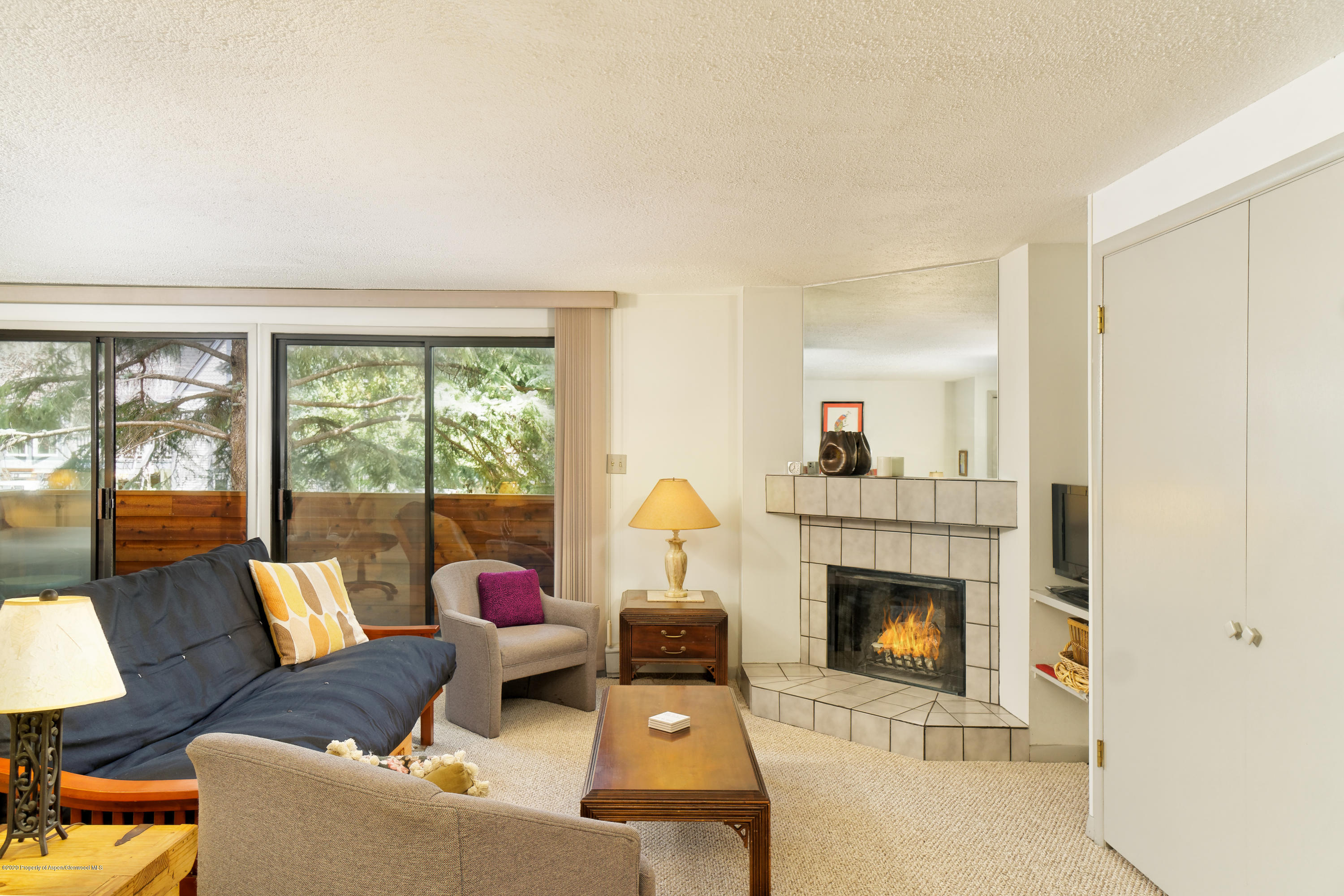 935 E Hopkins Avenue Aspen CO 81611