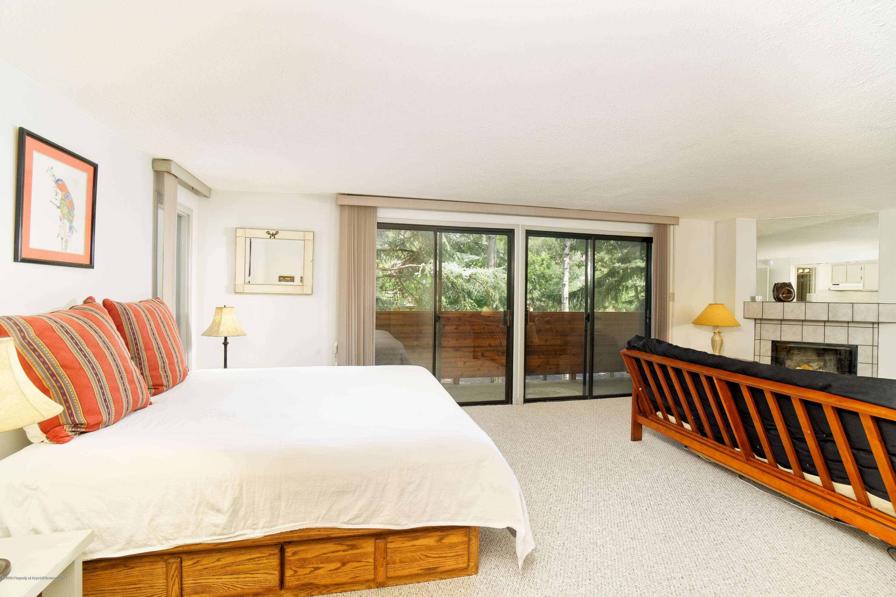 935 E Hopkins Avenue Aspen CO 81611