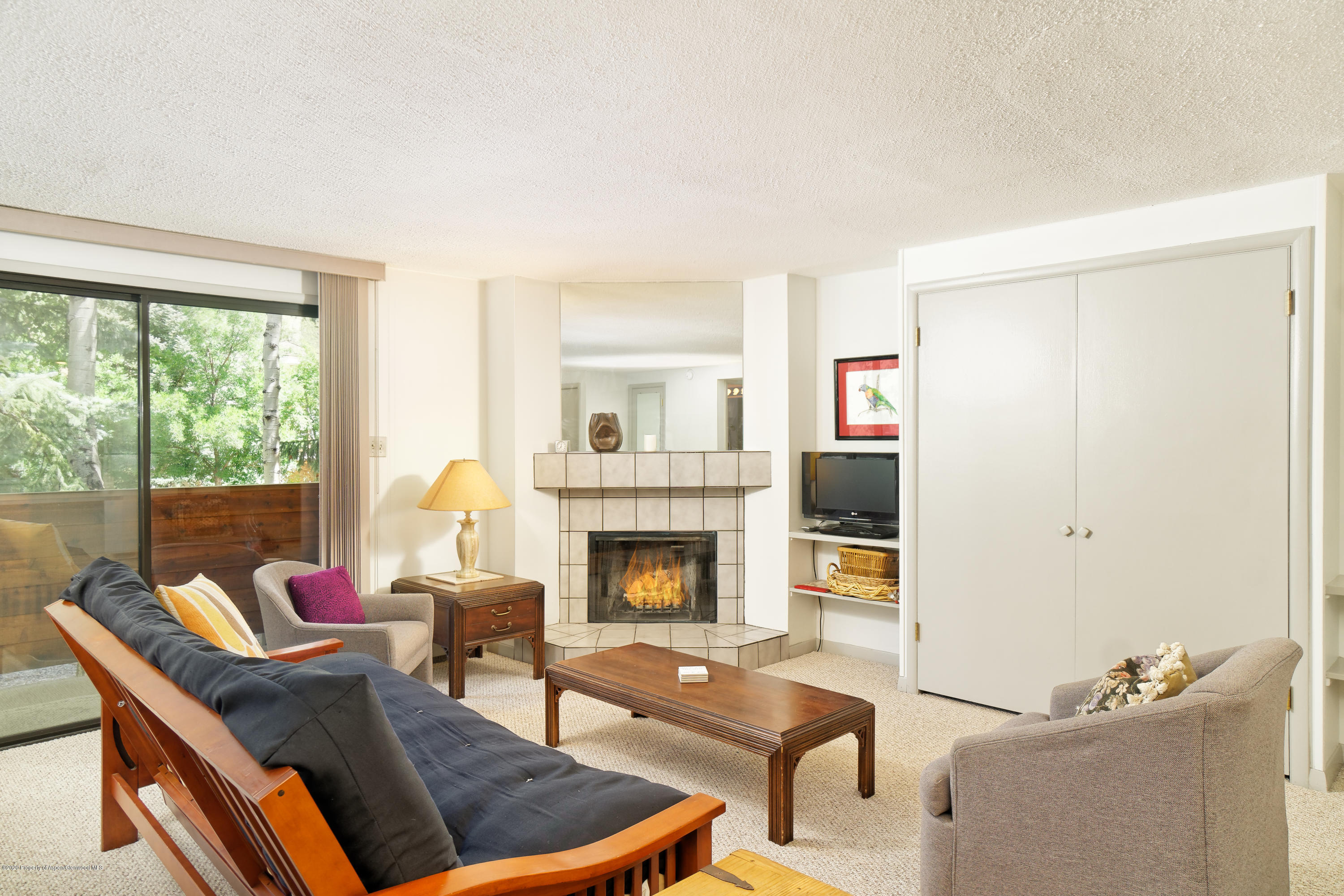 935 E Hopkins Avenue Aspen CO 81611