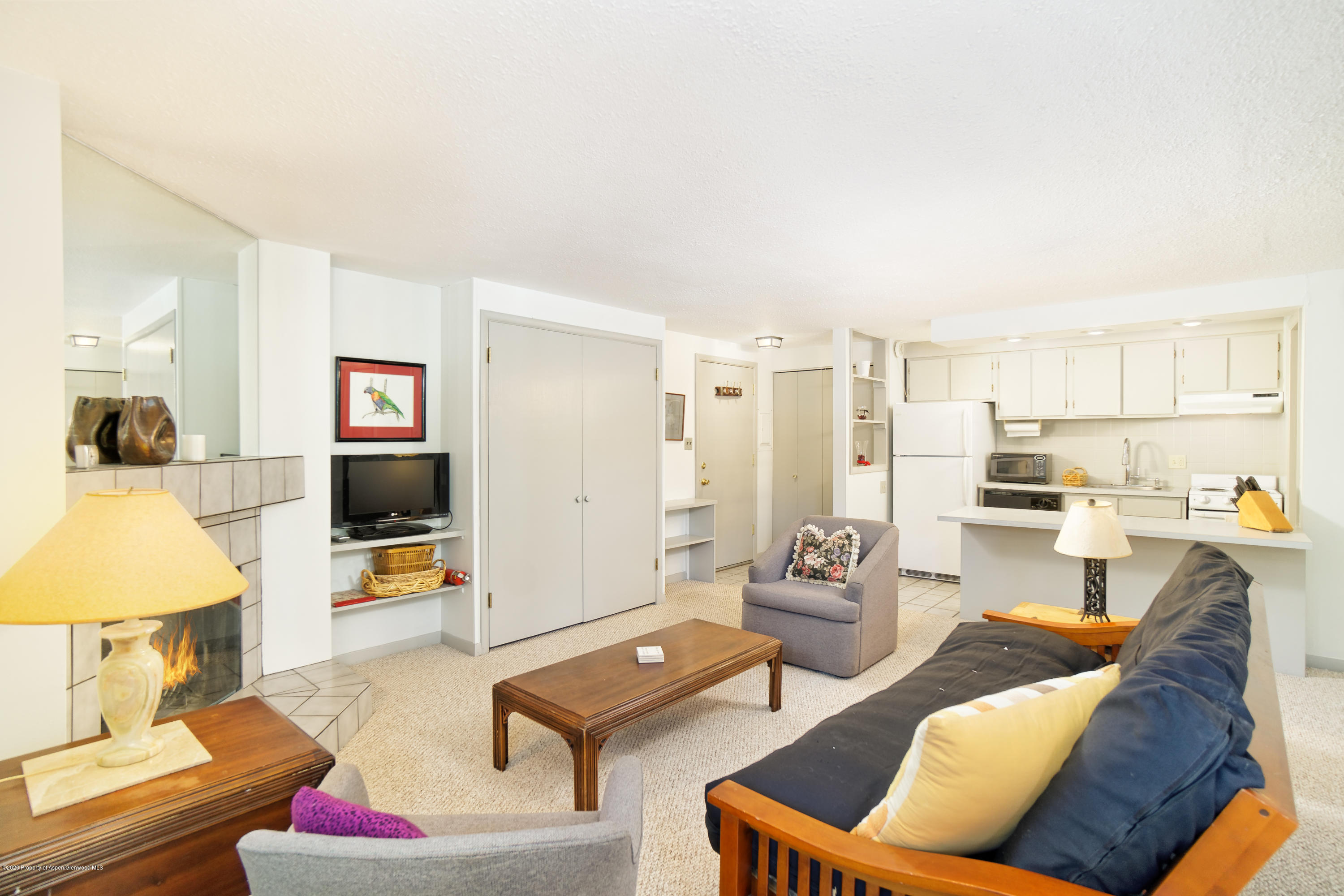 935 E Hopkins Avenue Aspen CO 81611