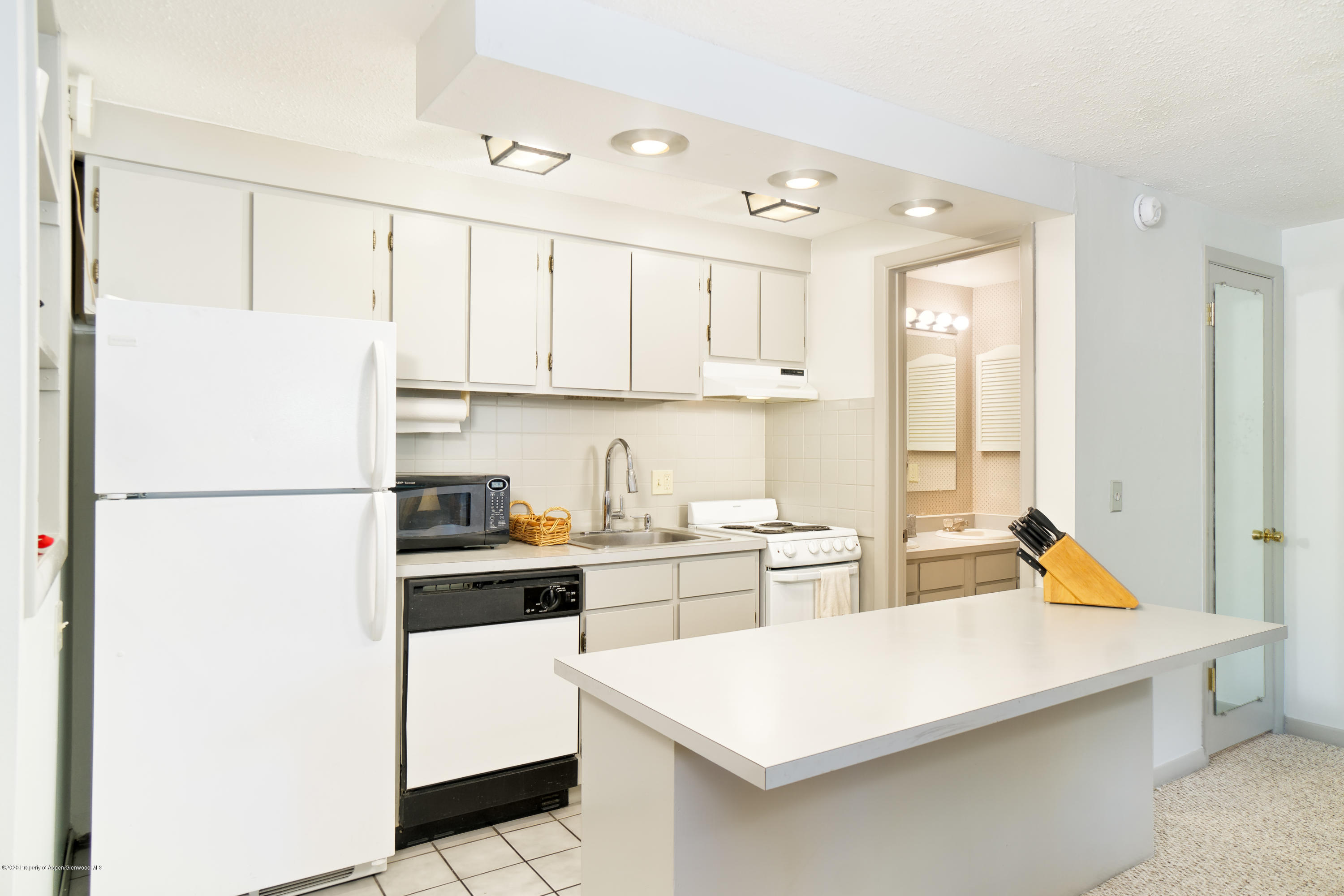 935 E Hopkins Avenue Aspen CO 81611