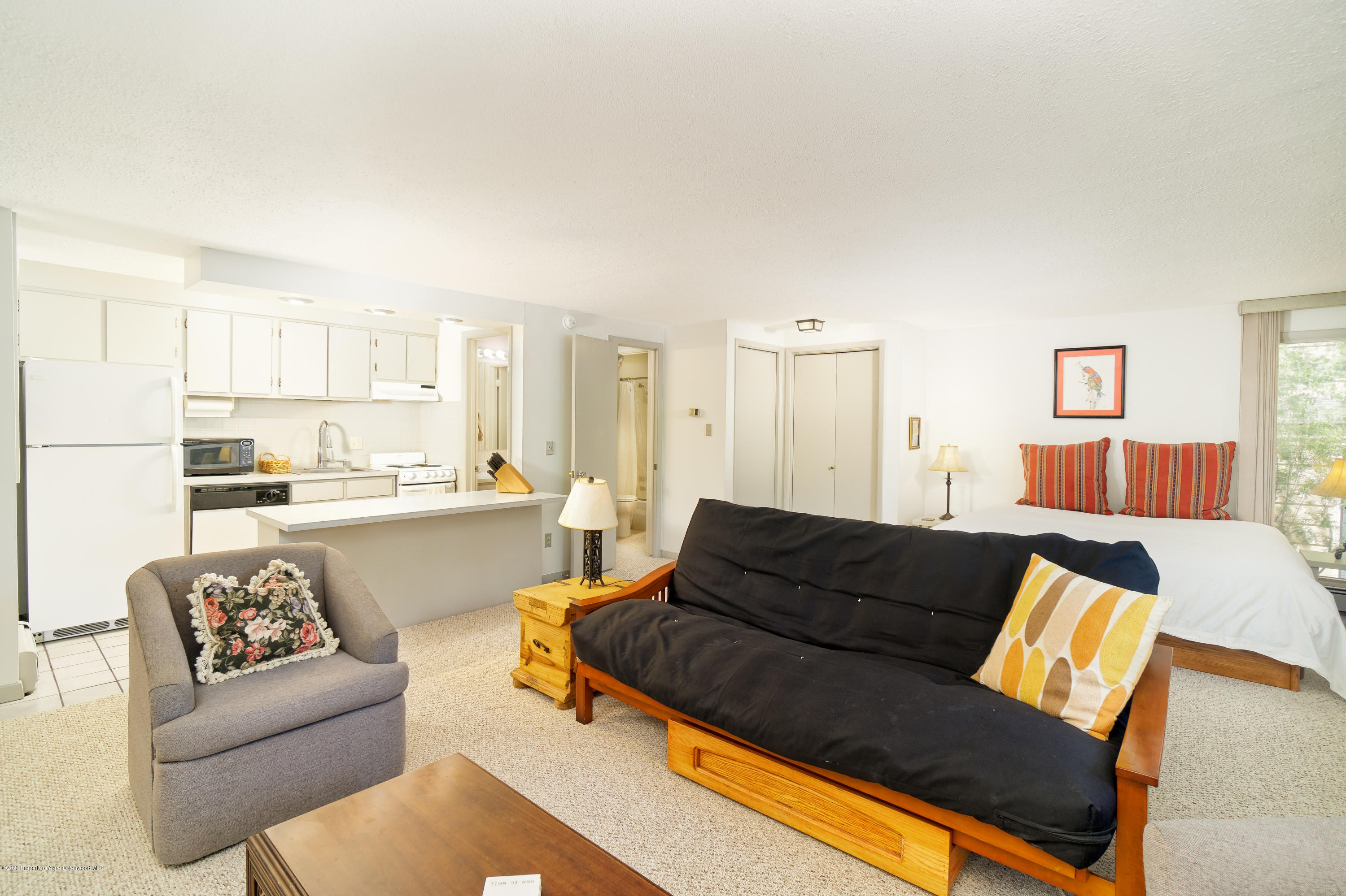 935 E Hopkins Avenue Aspen CO 81611