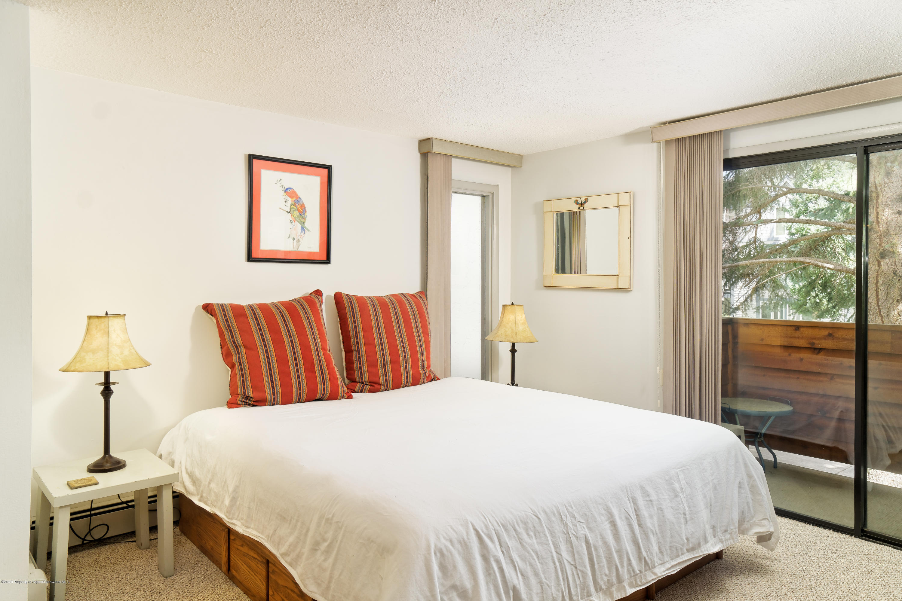 935 E Hopkins Avenue Aspen CO 81611