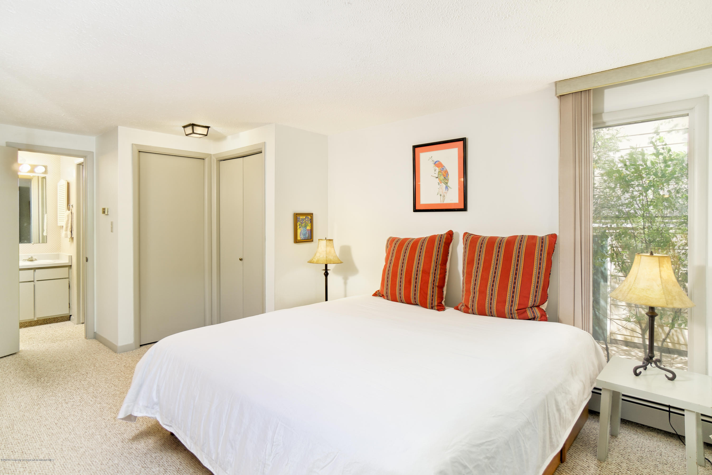 935 E Hopkins Avenue Aspen CO 81611