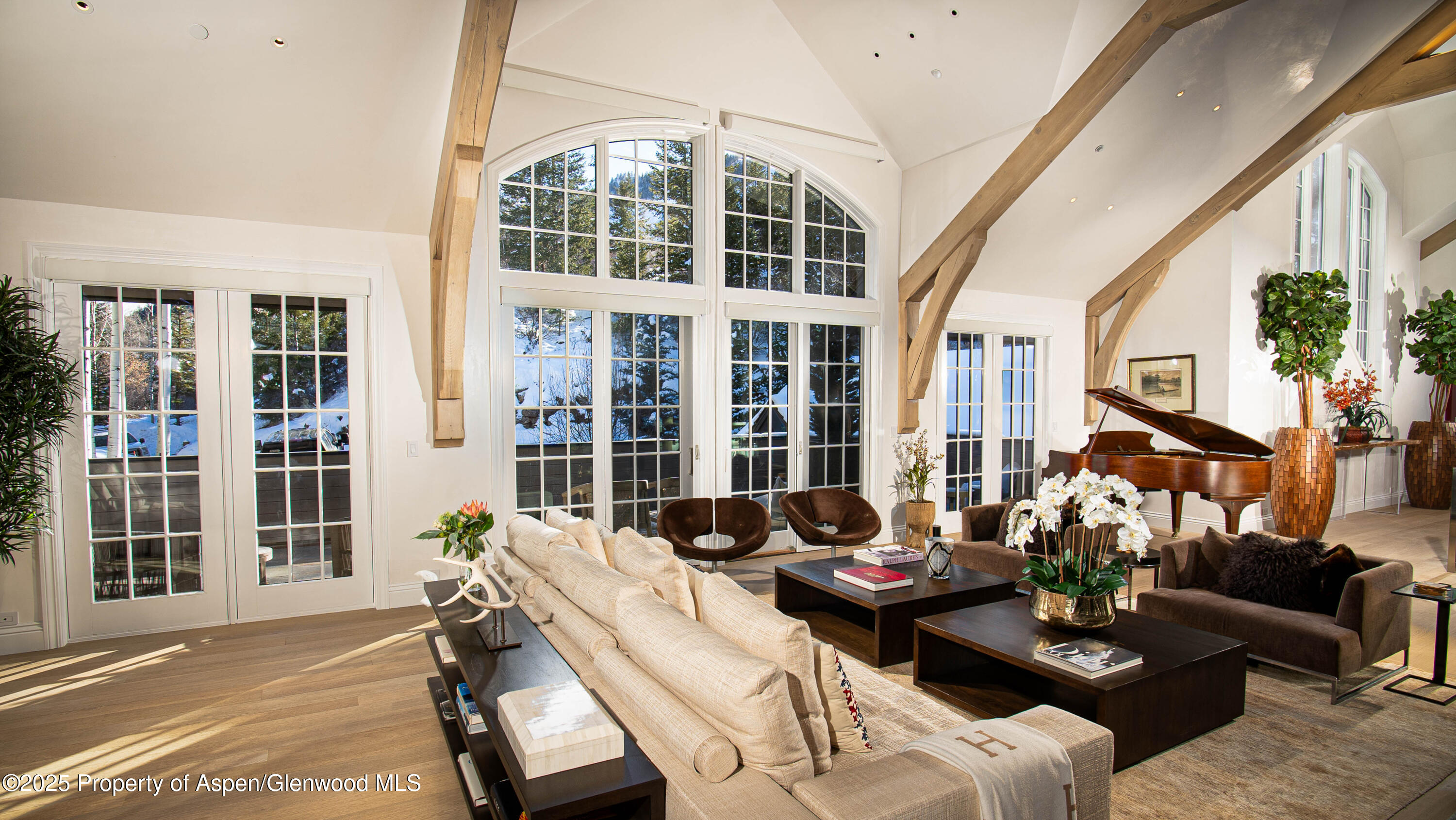 15 Little Cloud Trail Aspen CO 81611