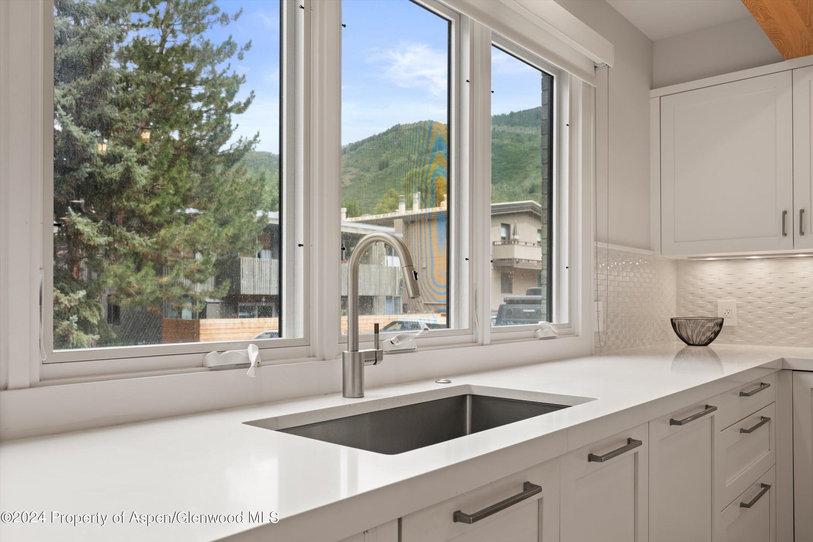 812 E Cooper Avenue Aspen CO 81611