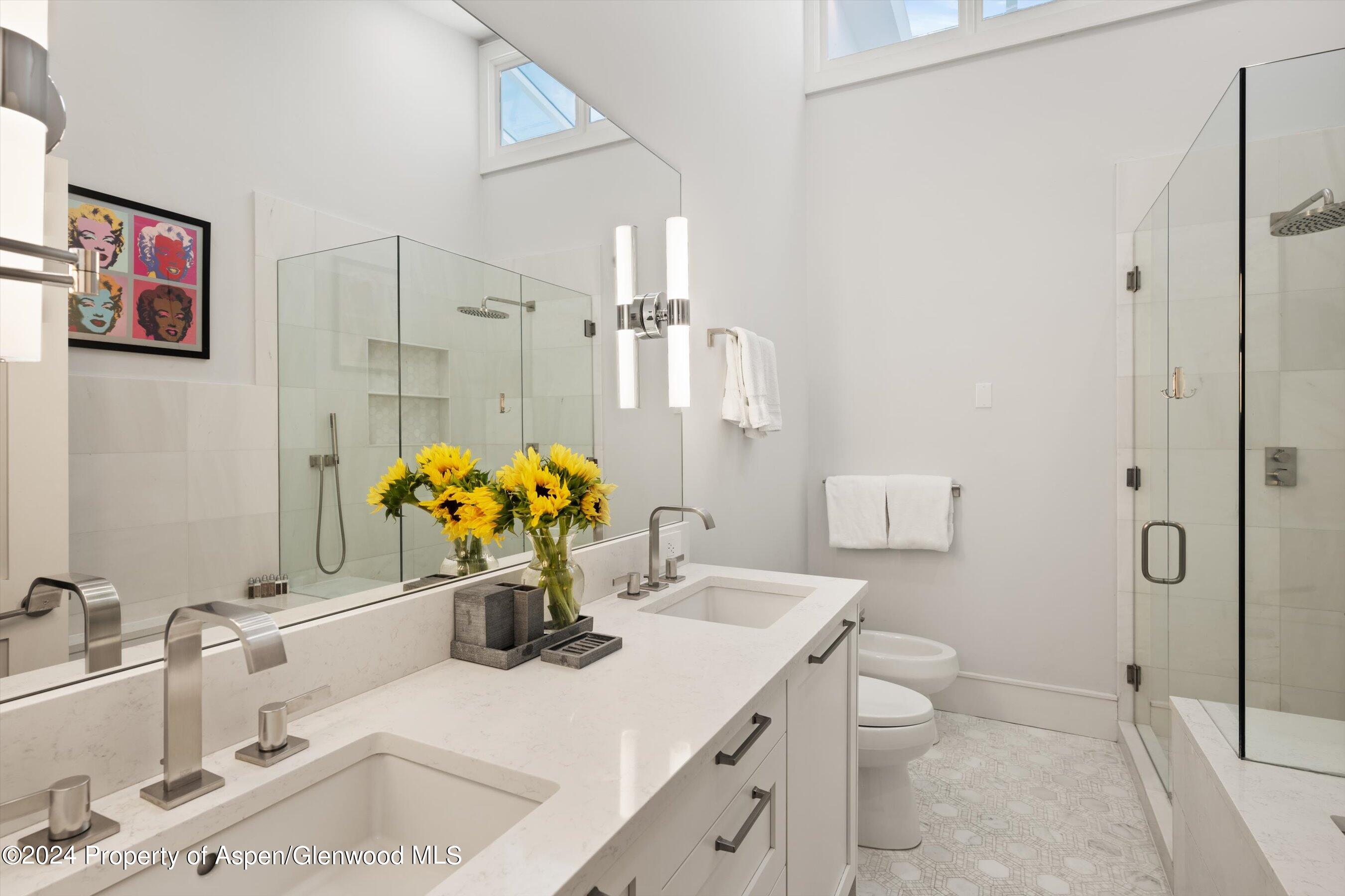 812 E Cooper Avenue Aspen CO 81611