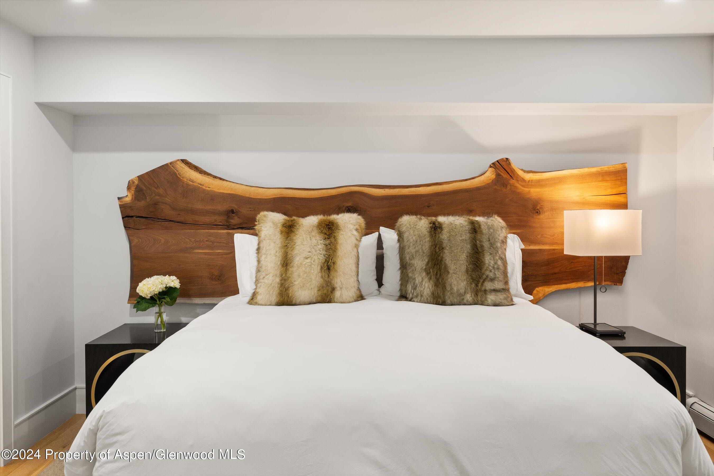 812 E Cooper Avenue Aspen CO 81611