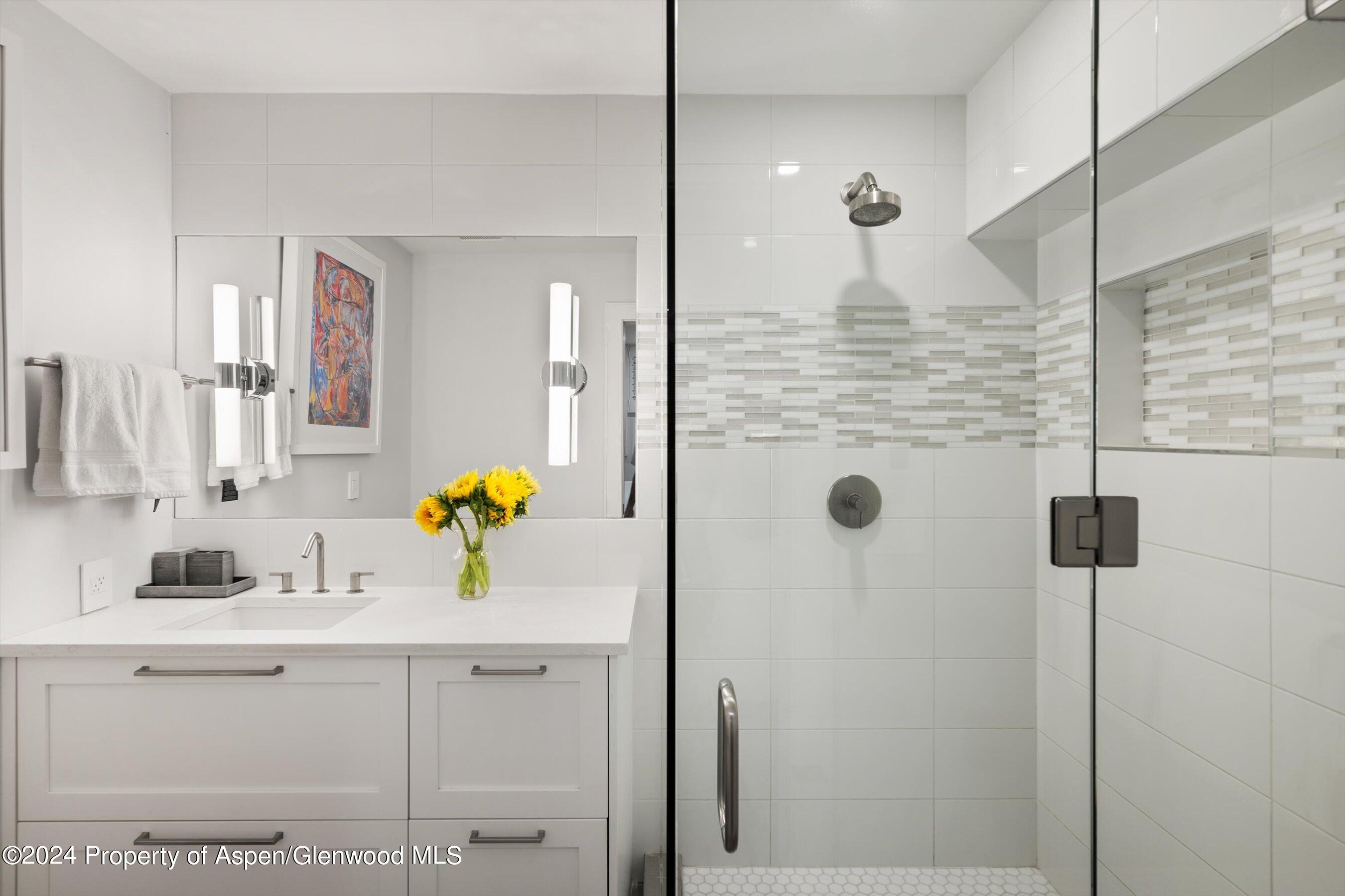 812 E Cooper Avenue Aspen CO 81611