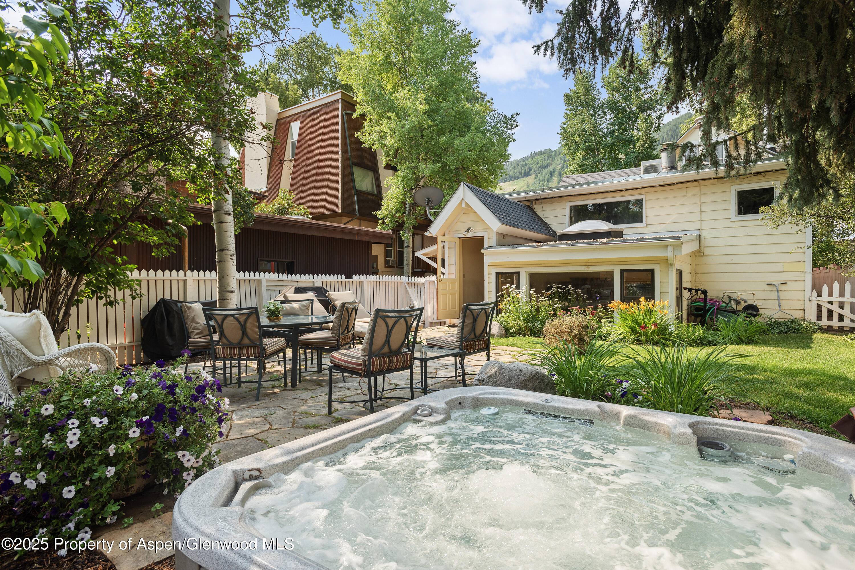 214 W Hyman Avenue Aspen CO 81611