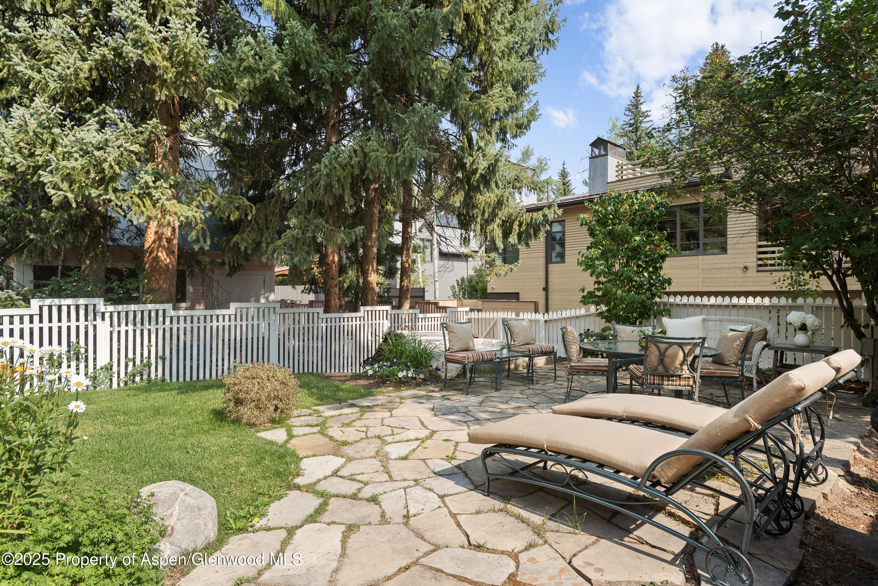 214 W Hyman Avenue Aspen CO 81611