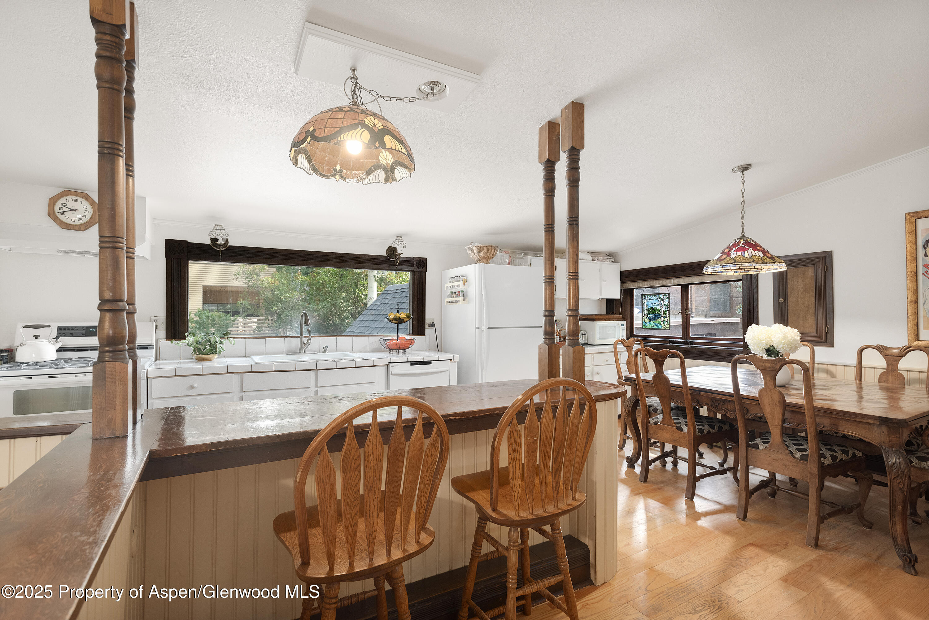 214 W Hyman Avenue Aspen CO 81611