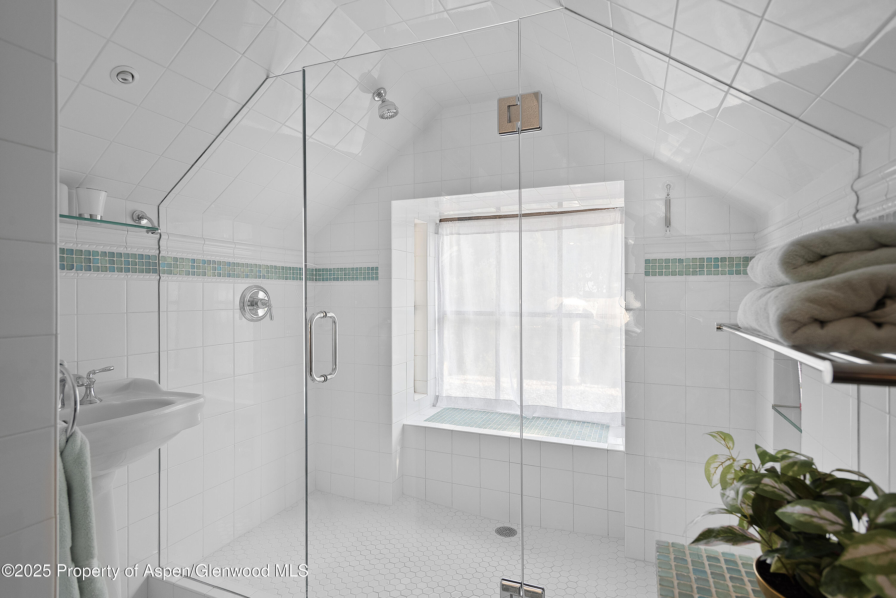 214 W Hyman Avenue Aspen CO 81611