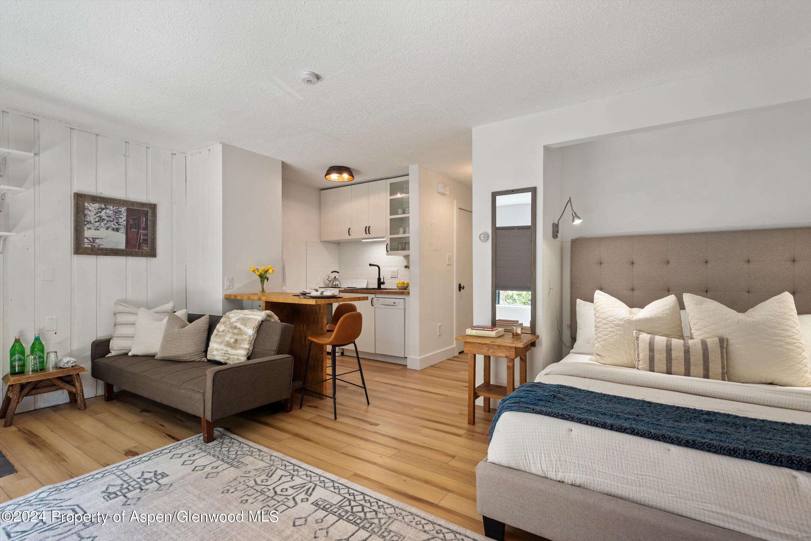 725 E Main Street Aspen CO 81611