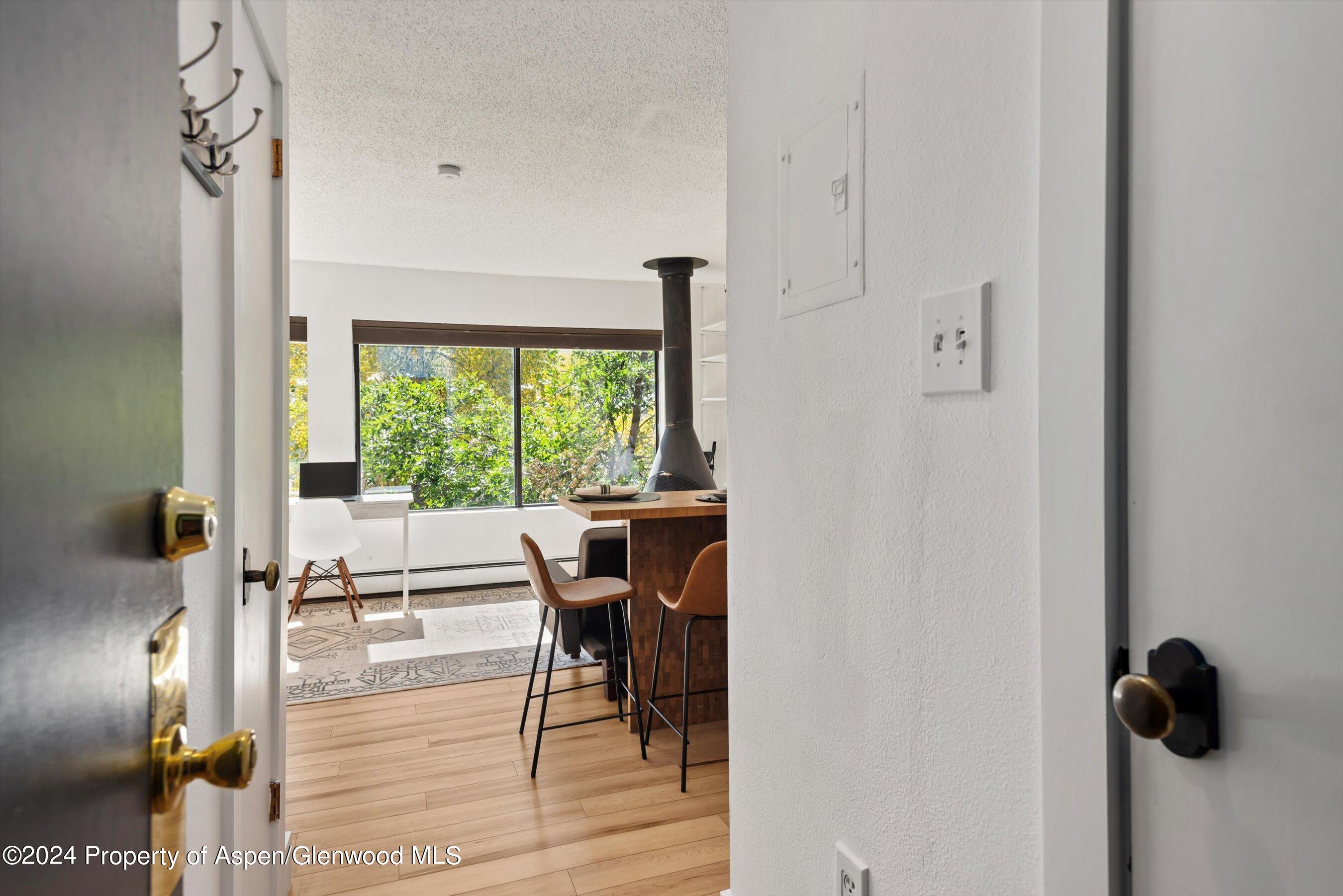 725 E Main Street Aspen CO 81611