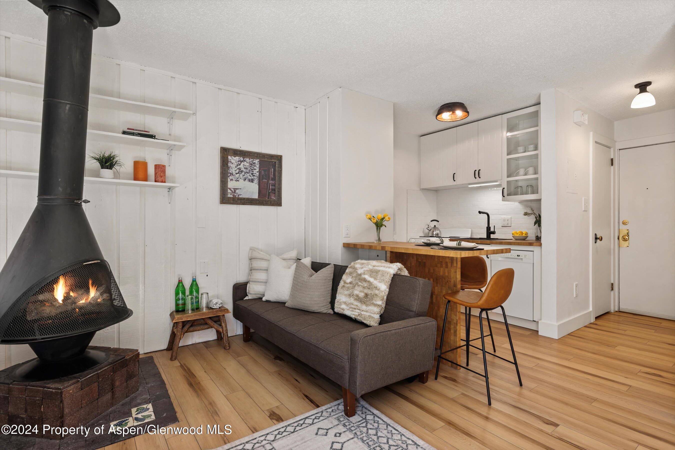 725 E Main Street Aspen CO 81611