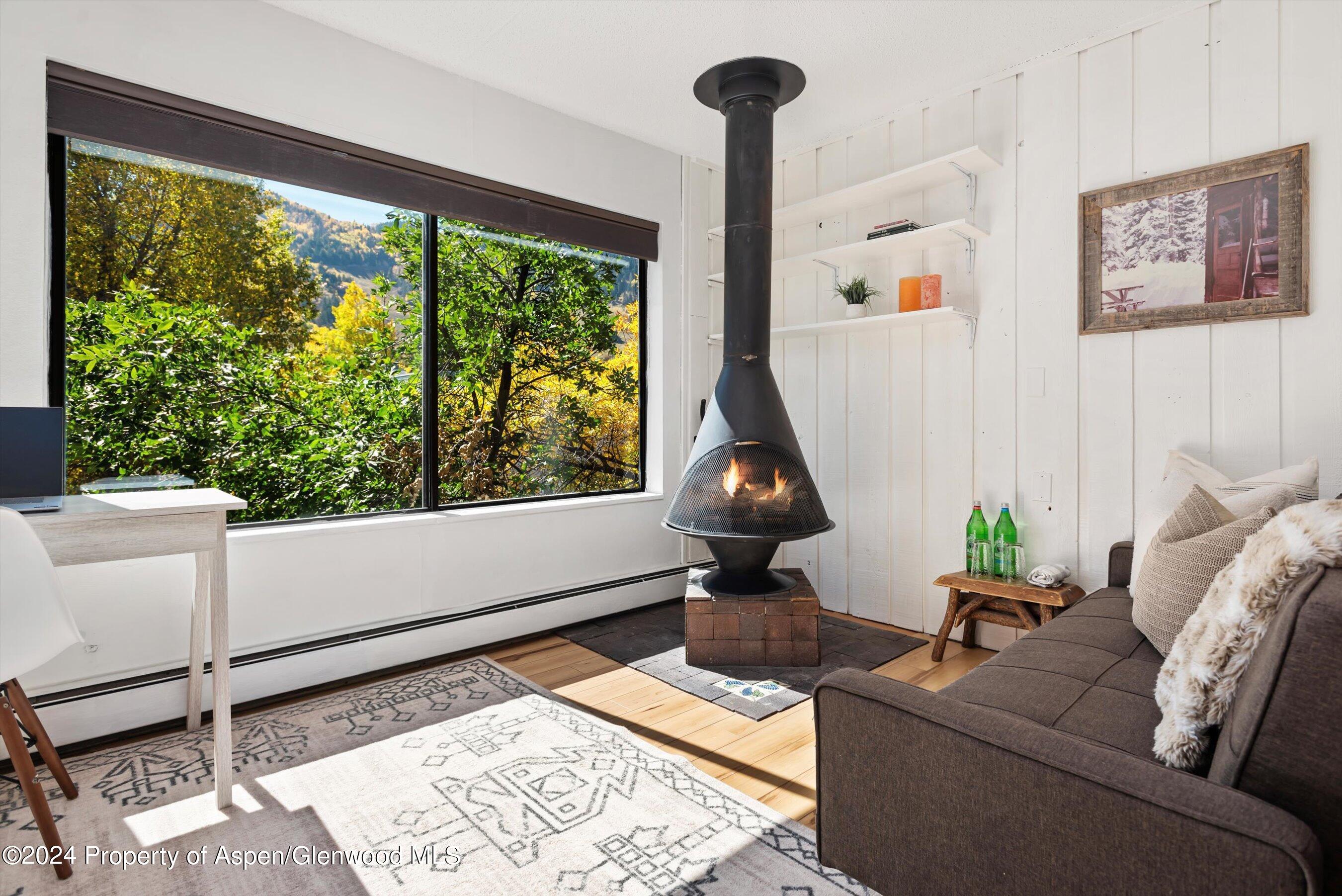 725 E Main Street Aspen CO 81611