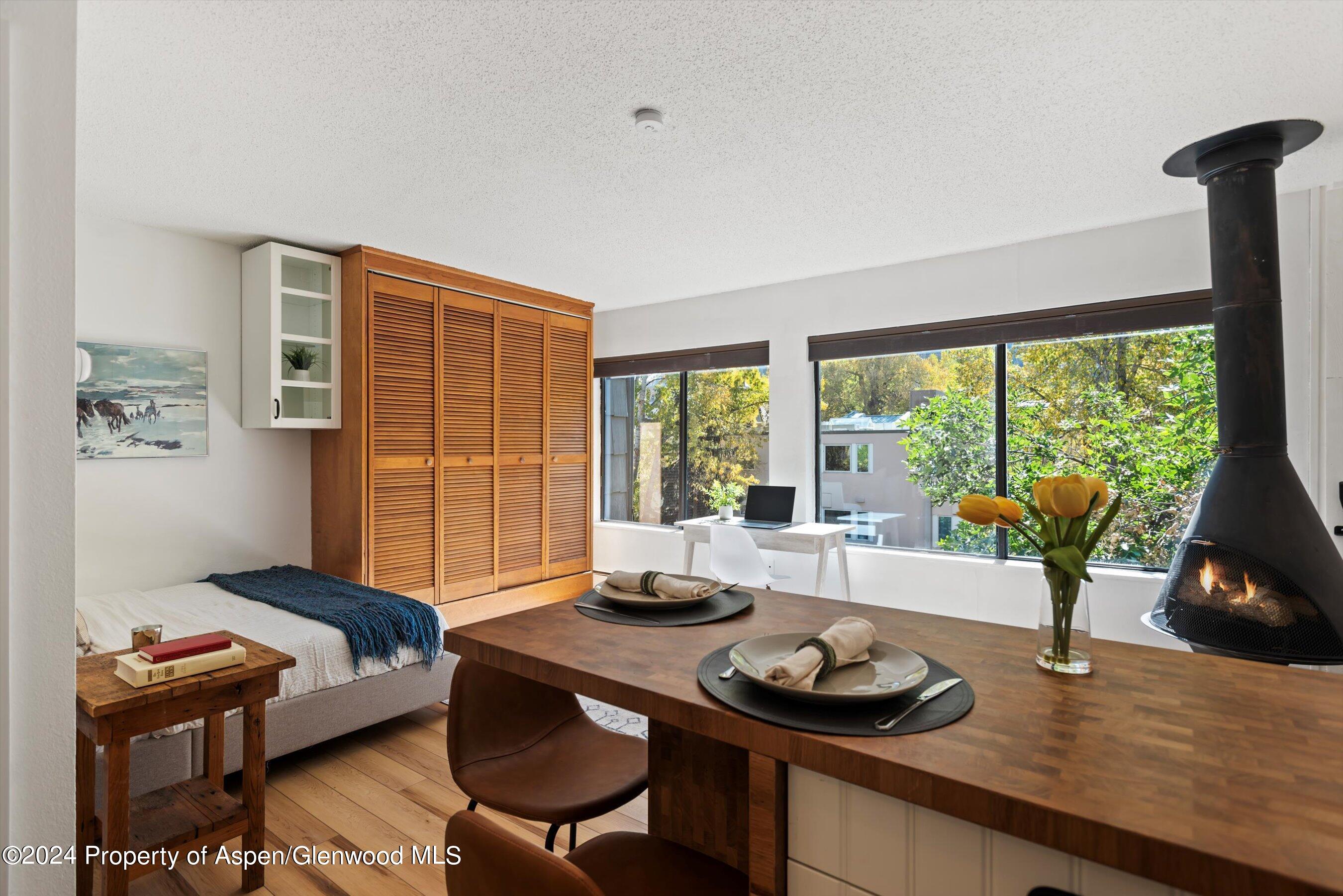 725 E Main Street Aspen CO 81611