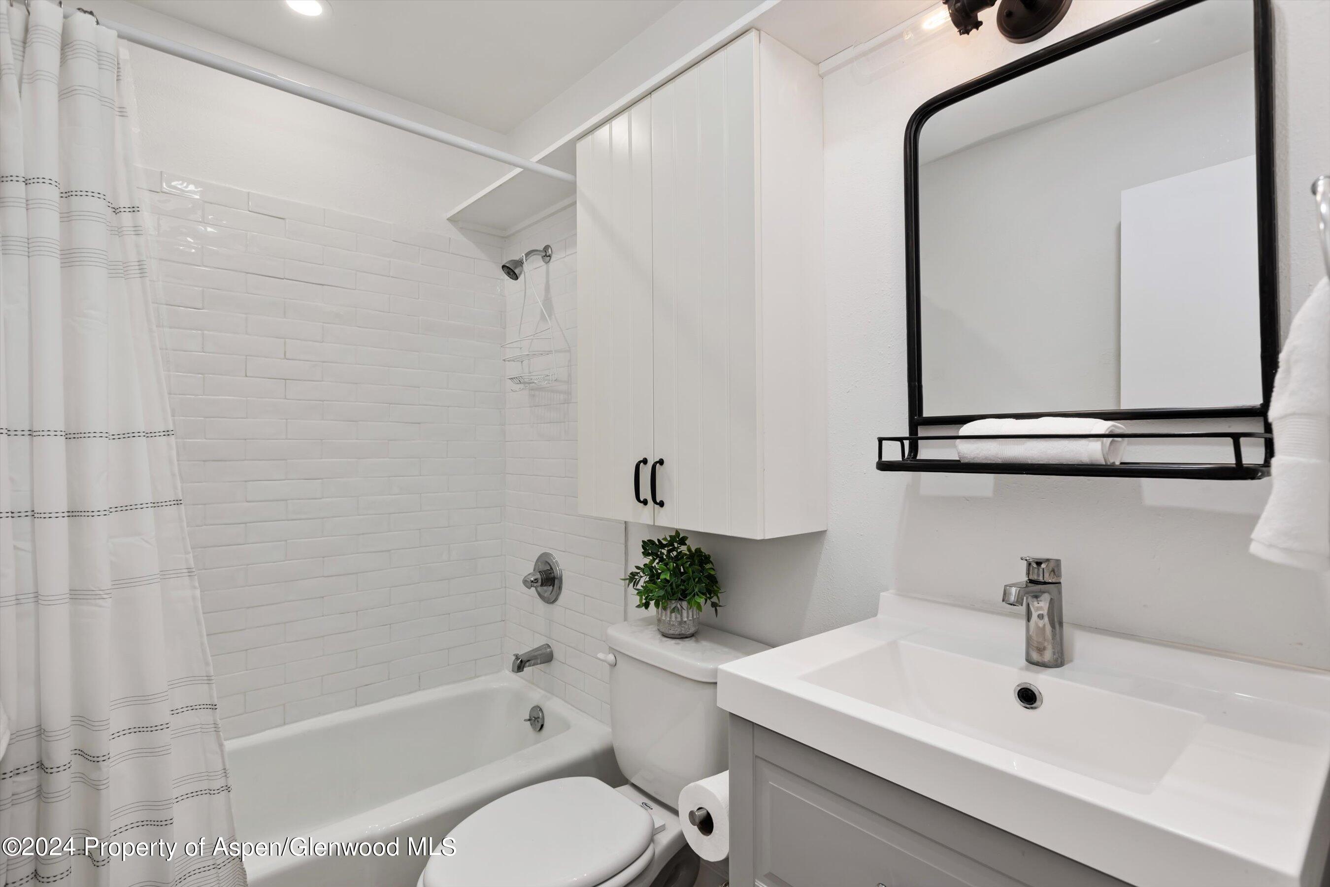 725 E Main Street Aspen CO 81611