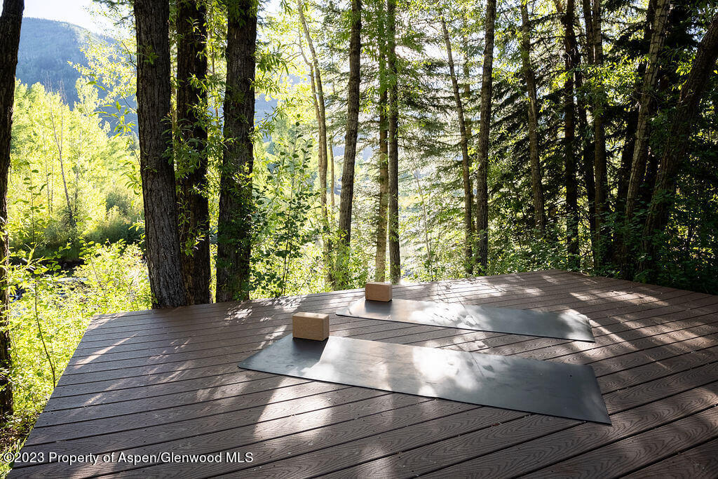 1490 Ute Avenue Aspen CO 81611