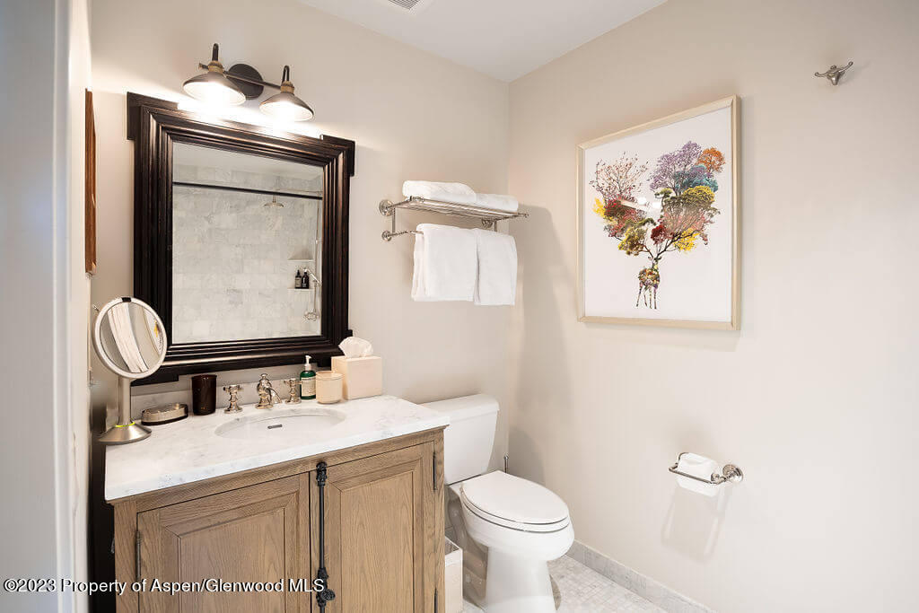 1490 Ute Avenue Aspen CO 81611