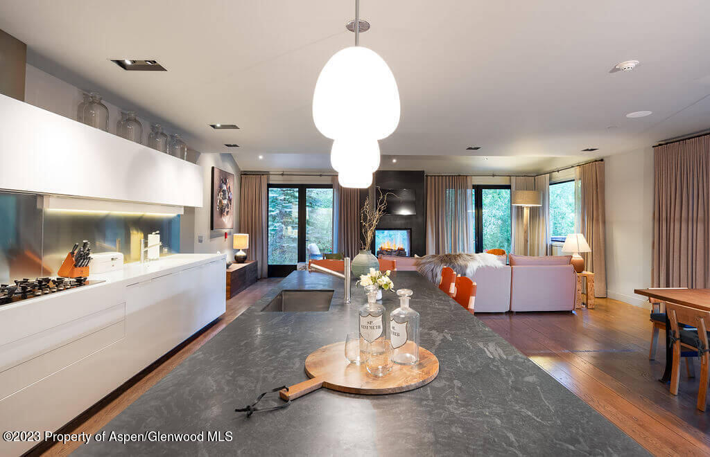 1490 Ute Avenue Aspen CO 81611