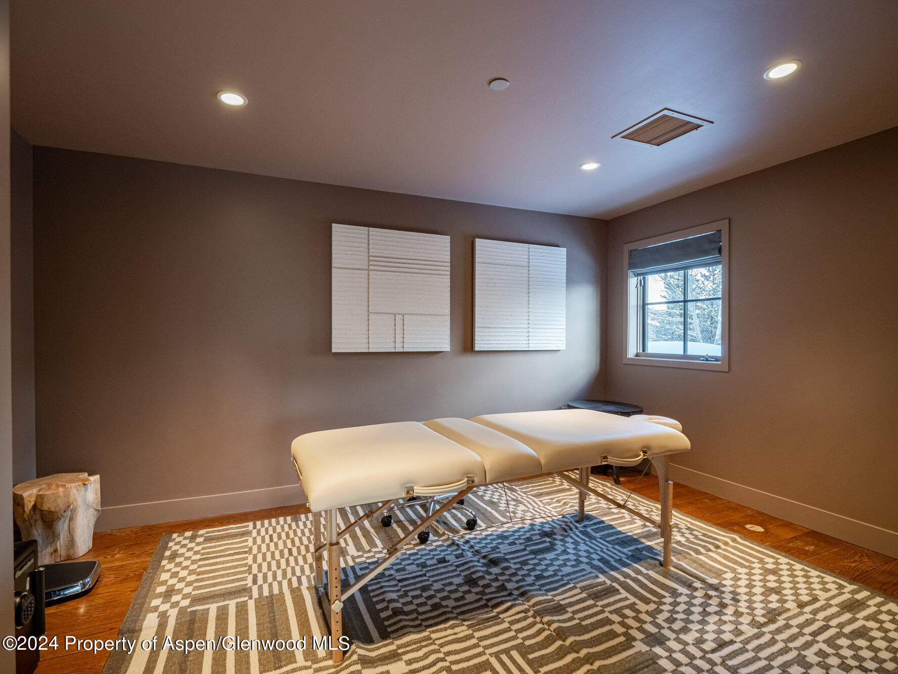 1490 Ute Avenue Aspen CO 81611