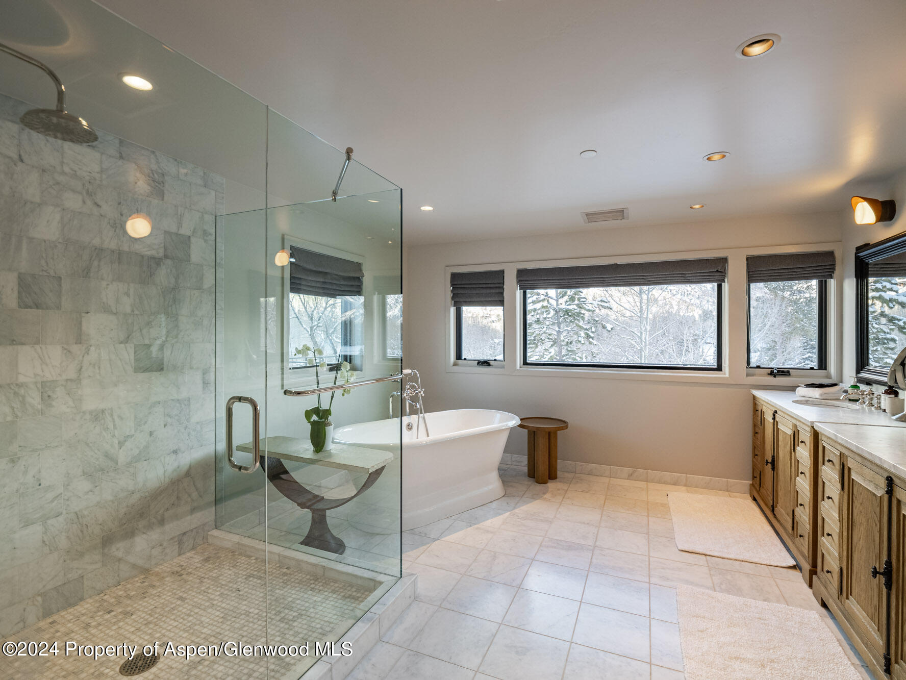 1490 Ute Avenue Aspen CO 81611