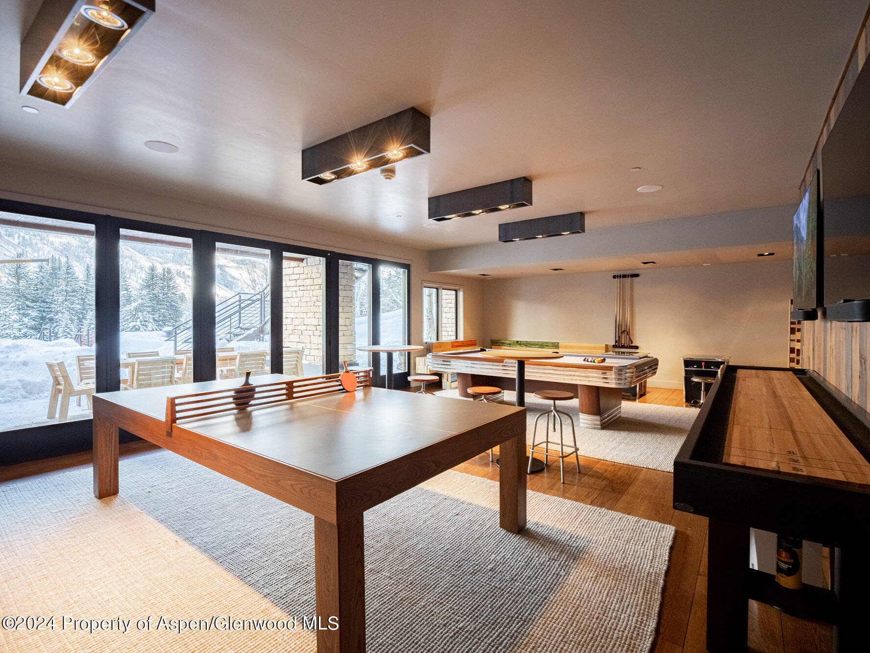 1490 Ute Avenue Aspen CO 81611