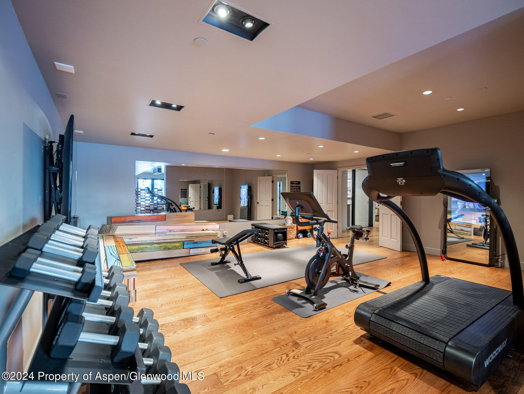 1490 Ute Avenue Aspen CO 81611