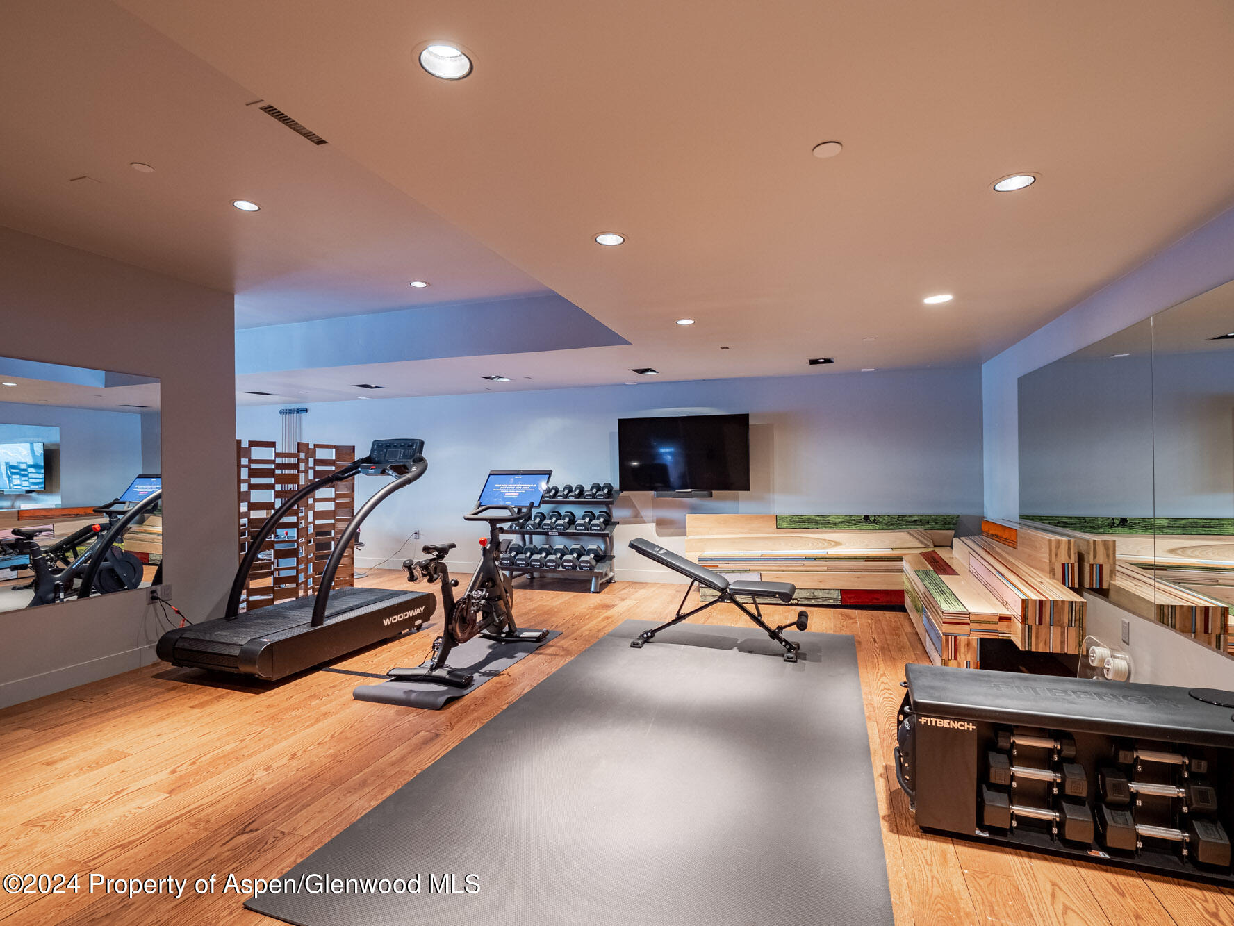 1490 Ute Avenue Aspen CO 81611