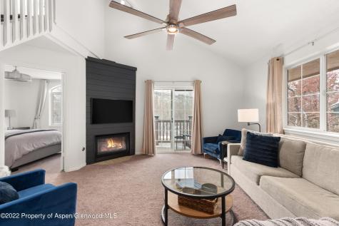 4202 Elk Lane Basalt CO 81621