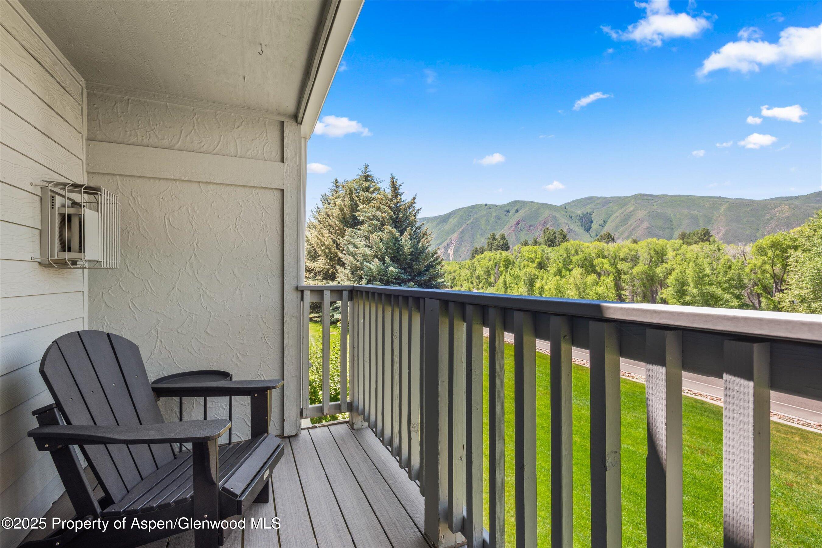 4202 Elk Lane Basalt CO 81621