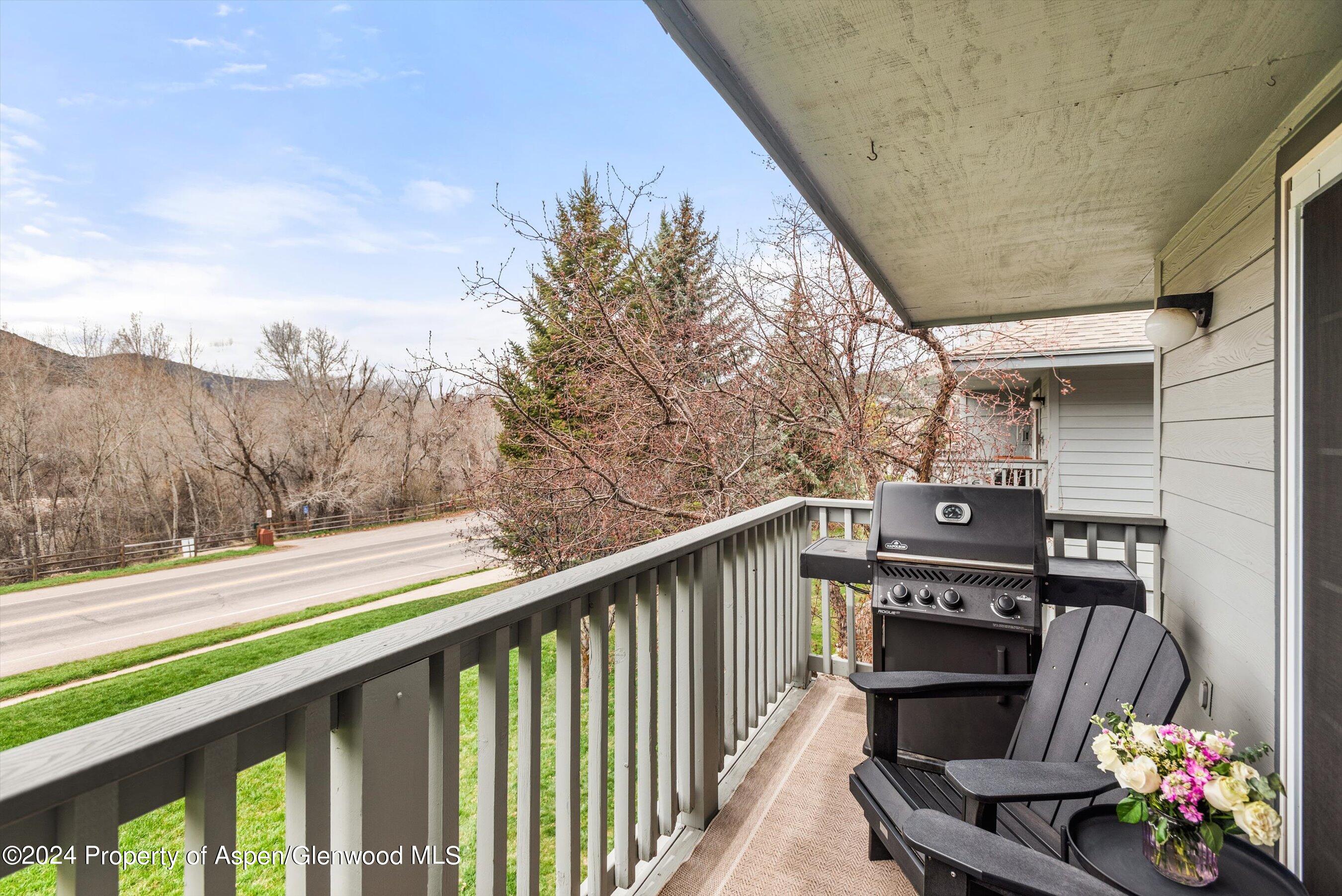 4202 Elk Lane Basalt CO 81621